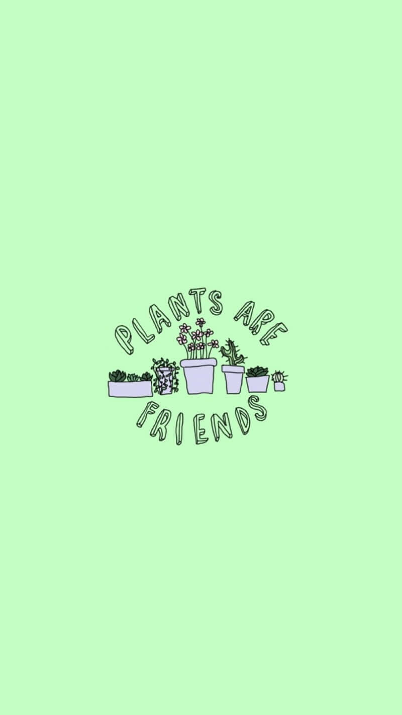 語錄 桌布 壁紙 — 柔和薄荷綠色背景上，在「Plants Are Friends」字句下方排列的盆栽植物極簡插圖。