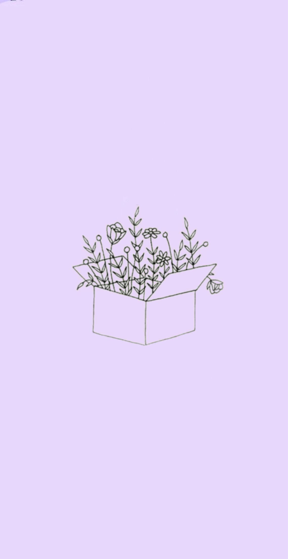 Aesthetic Purple Flower 桌布 壁紙 — 柔和薰衣草背景上，從打開的盒子中溢出的野花的極簡線條畫。