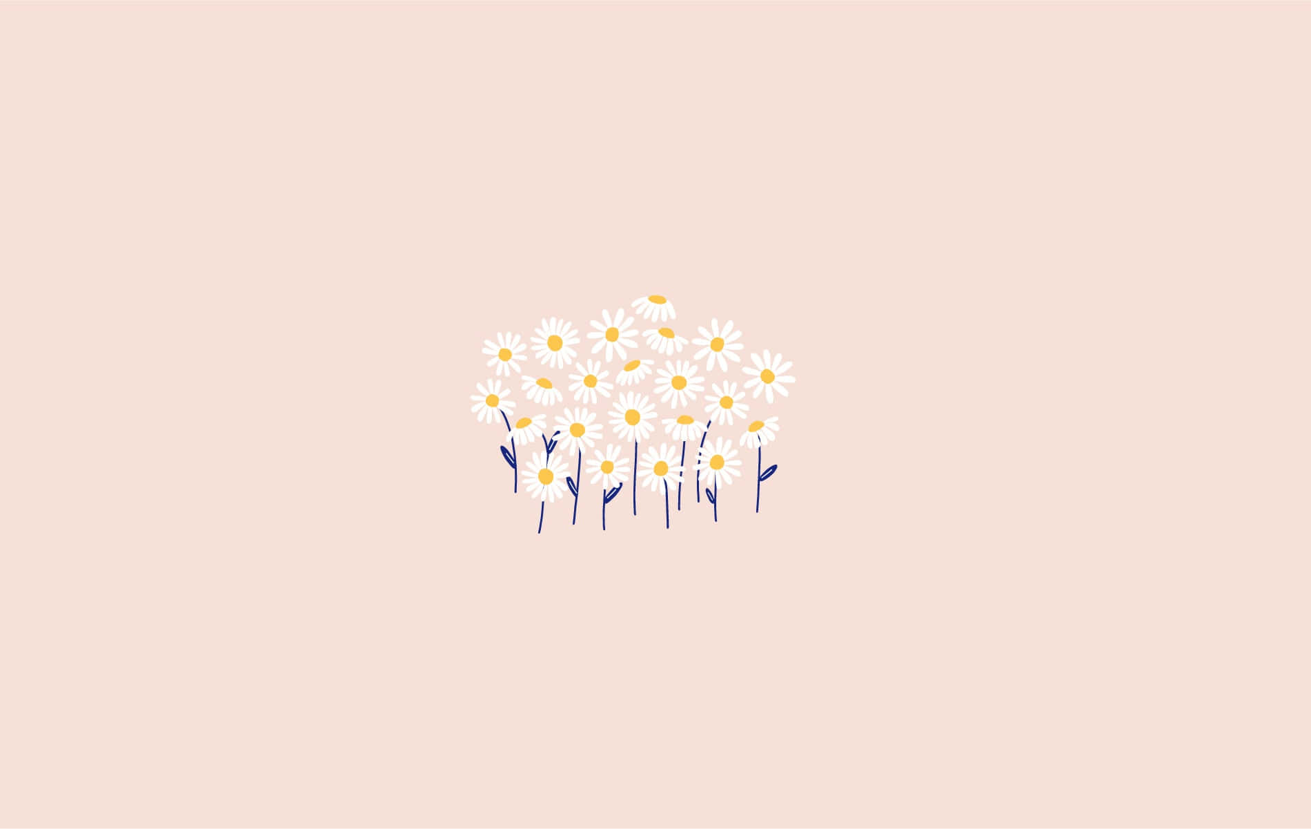 Daisy 桌布 壁紙 — 柔和蜜桃色背景上，白色花瓣和黃色花心的雛菊極簡插圖。