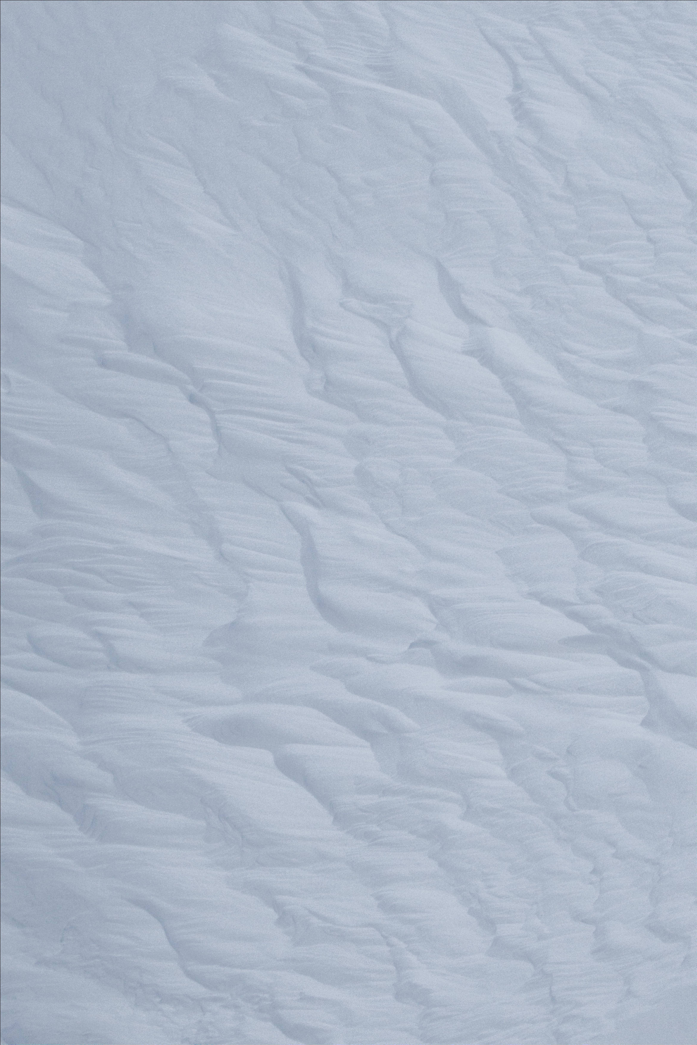 白雪公主 桌布 壁紙 — 柔和起伏的雪堆特寫，在漫射光下呈現溫和的山脊和山谷。