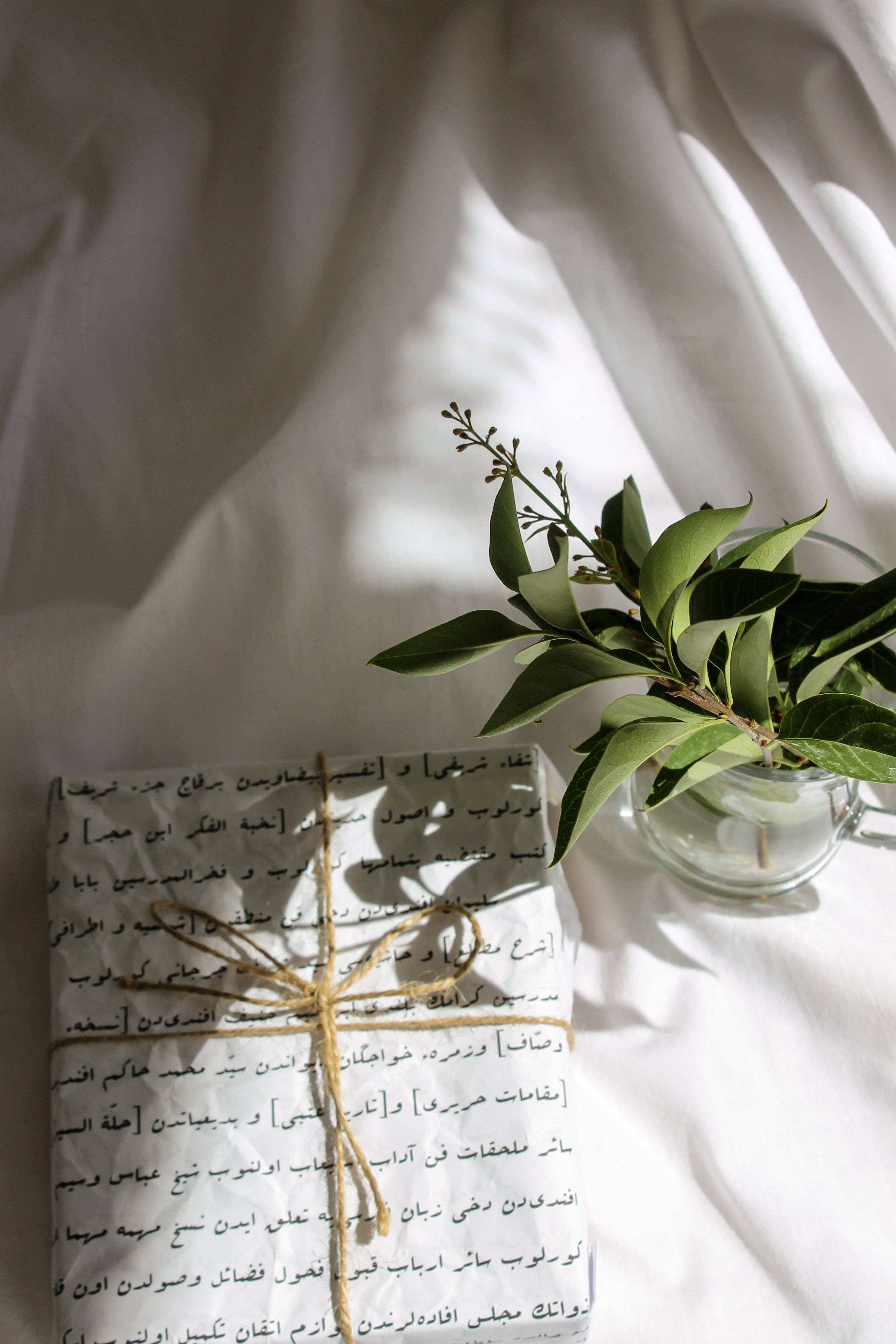 Plant Aesthetic 桌布 壁紙 — 柔和陽光照亮了一本帶有阿拉伯文字的書和一個玻璃花瓶，花瓶裡插著綠色植物，放在白色布料覆蓋的表面上。