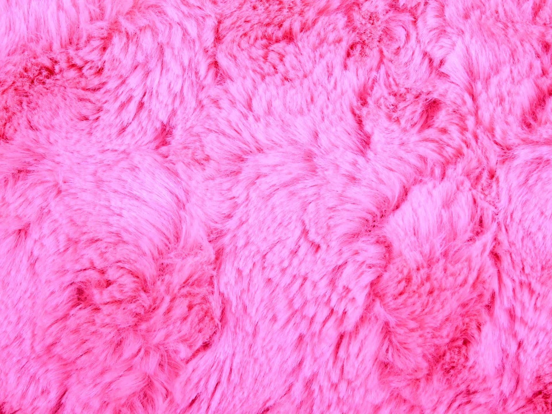 fur 桌布 壁紙 — 柔軟捲曲且色彩鮮豔多變的粉紅色人造毛絨質地特寫。