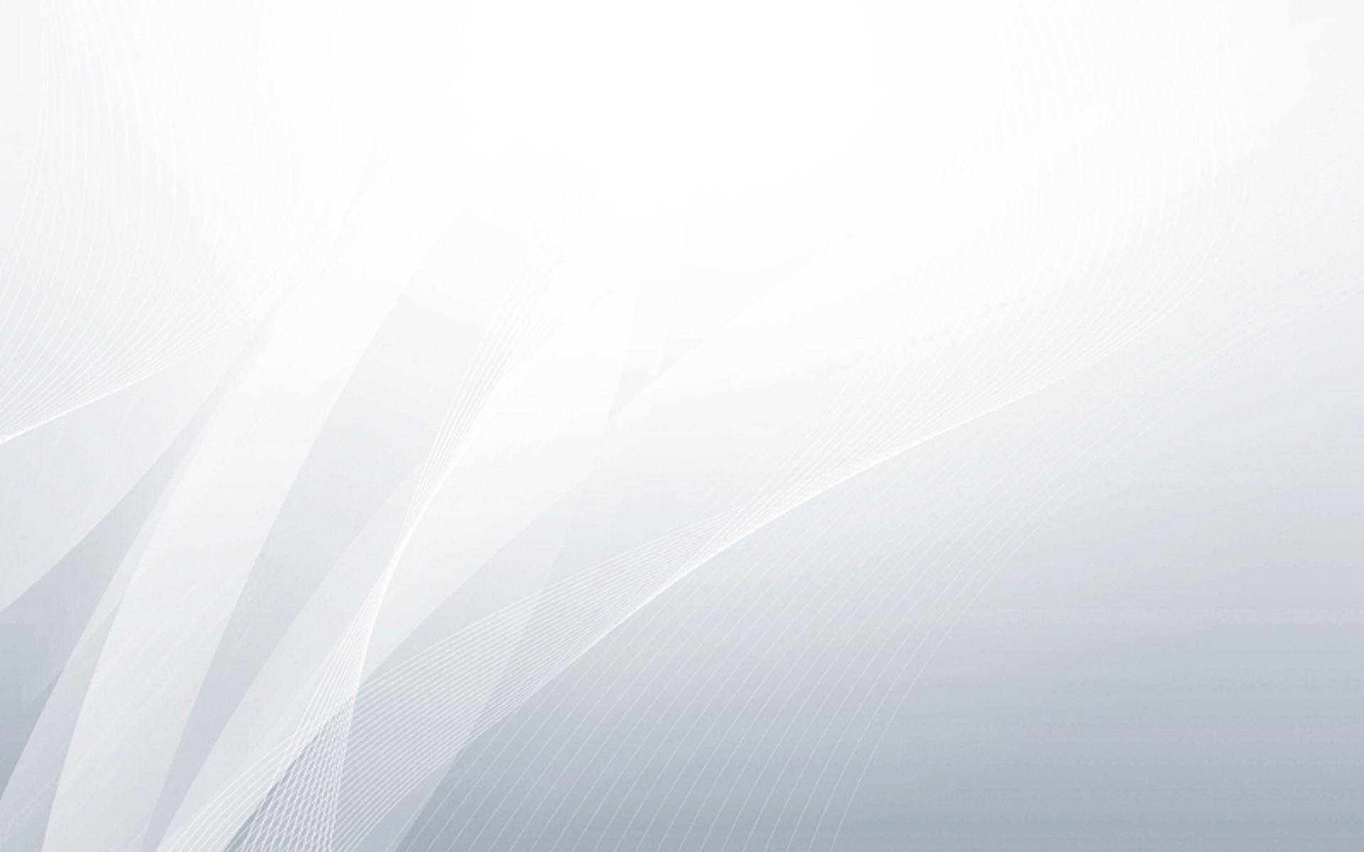 White Color 桌布 壁紙 — 柔軟流動的白色線條，以溫和的漸變和微妙的陰影營造出寧靜的抽象圖案。