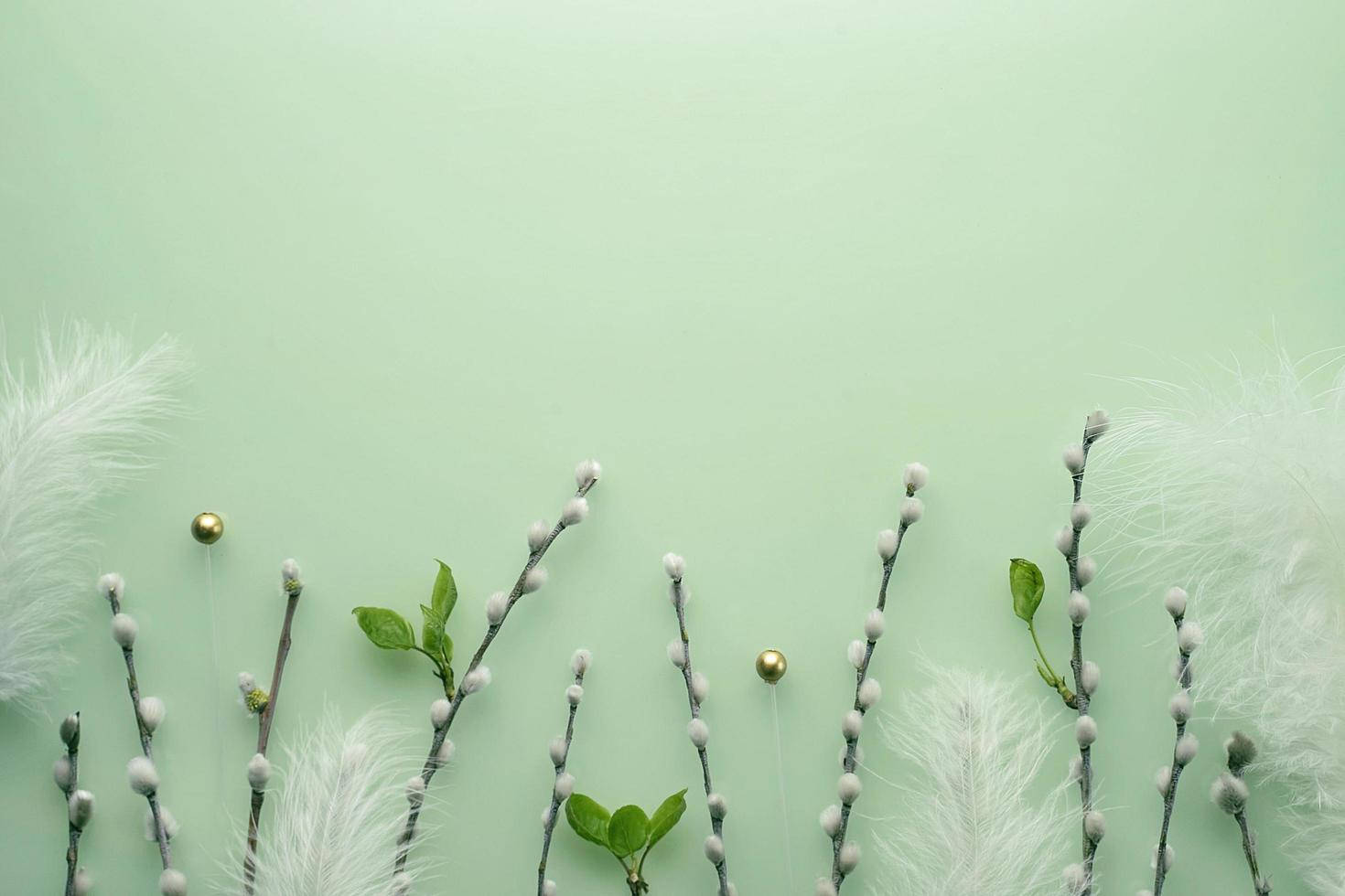 Aesthetic Easter 桌布 壁紙 — 柔軟的柳枝，帶有萌芽的柳絮和白色羽毛，排列在薄荷綠背景上。