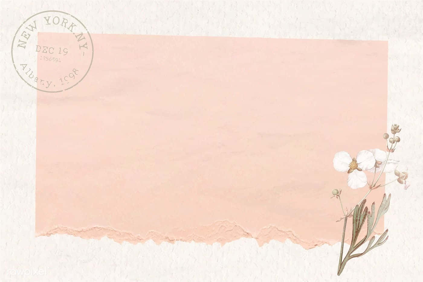Brown Pastel Aesthetic 桌布 壁紙 — 柔軟的桃色撕紙框架，飾有精緻的白色花朵和復古紐約郵戳，置於有紋理的白色背景上。