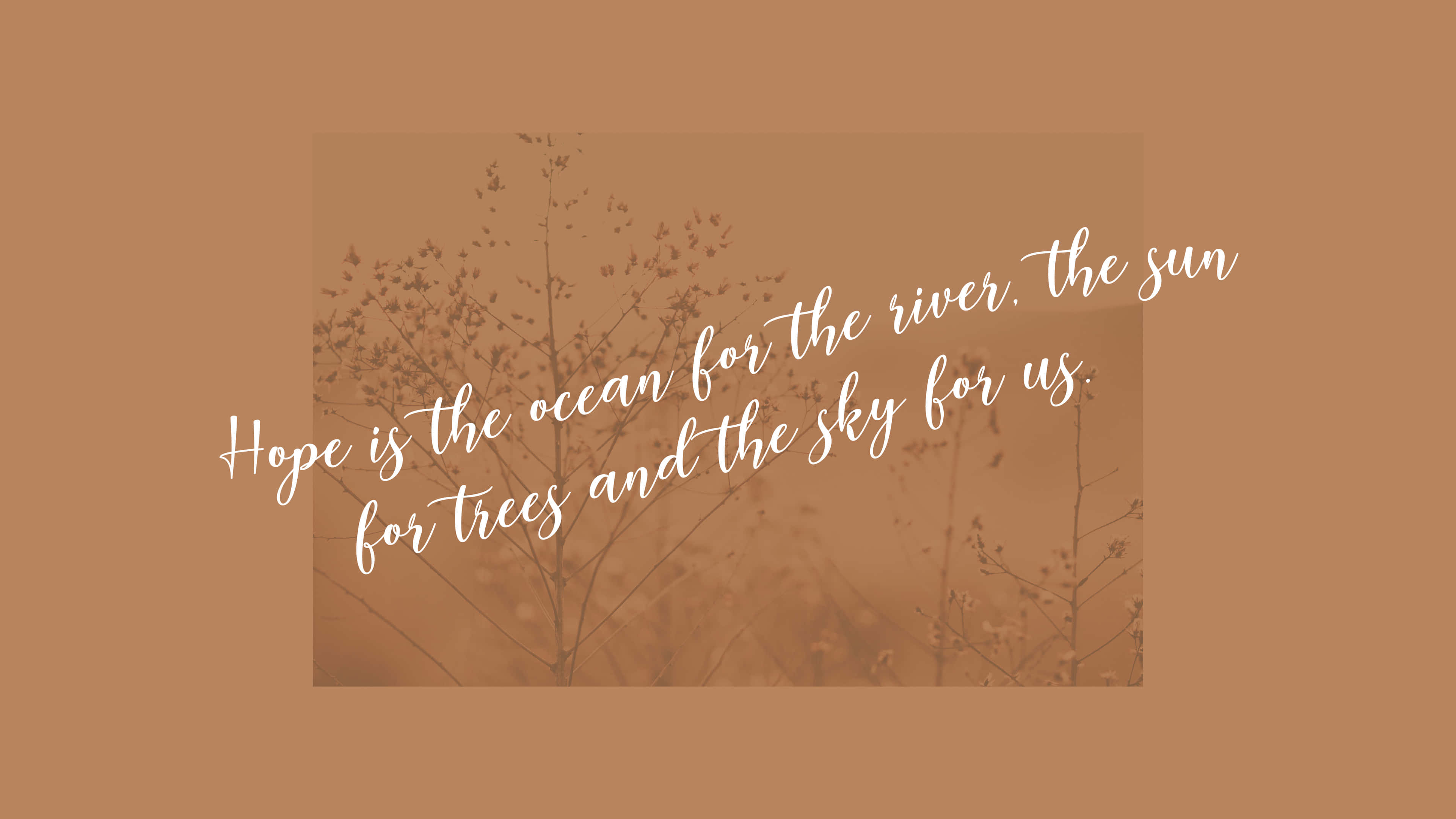 Motivational Quotes 桌布 壁紙 — 柔軟的棕色背景，配上精緻的乾燥樹枝和溫暖發光的斜體勵志名言。