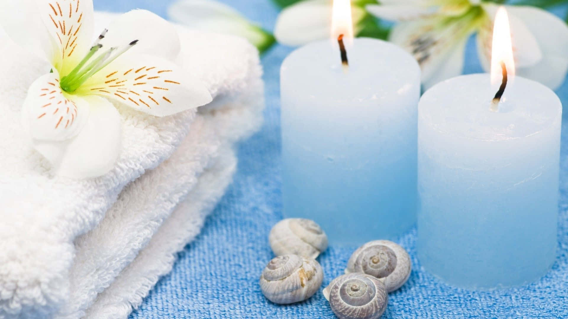 Aromatherapy 桌布 壁紙 — 柔軟的白色毛巾和六出花放在發光的藍色蠟燭和貝殼旁邊，置於有紋理的藍色毛巾上。