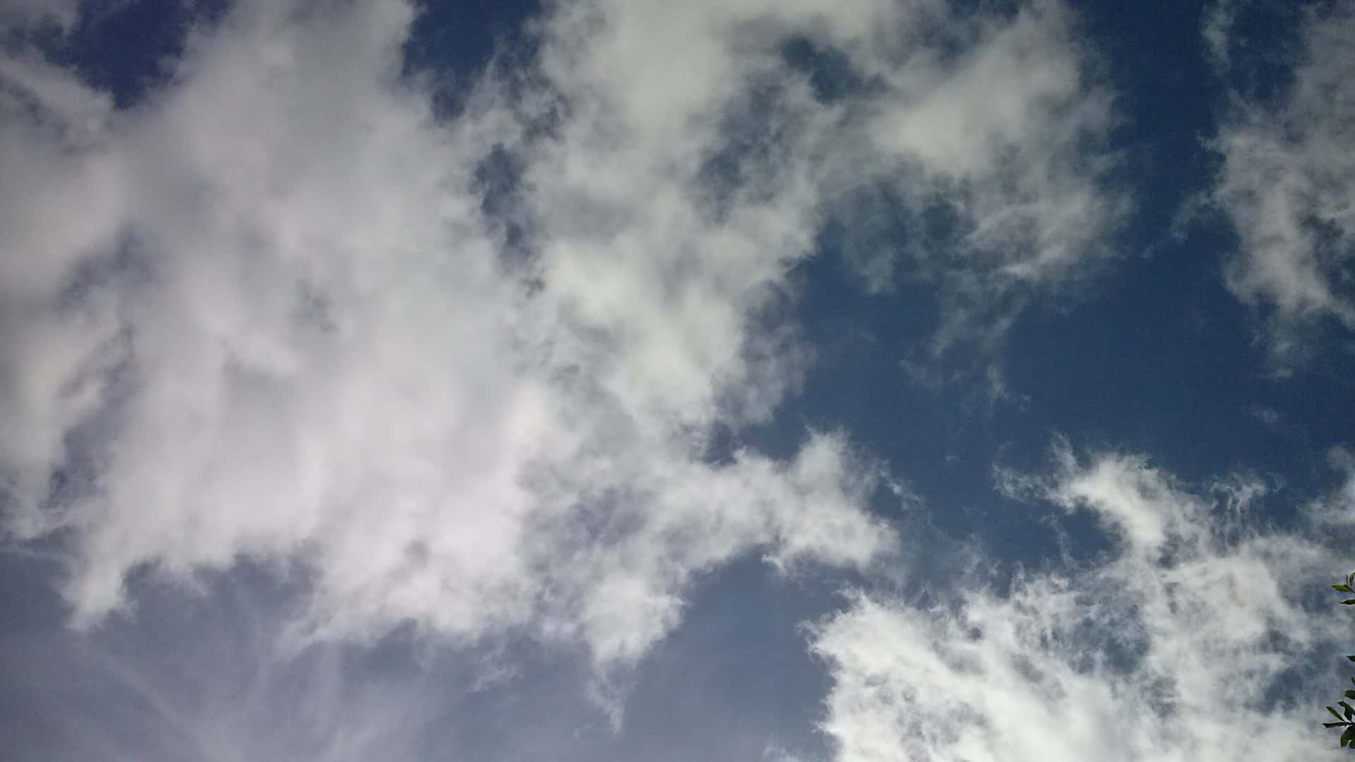 CLOUD-39 壁紙 — 柔軟的白雲在充滿活力的藍天中飄移，帶有微妙的灰色調和角落的一抹綠色樹葉。