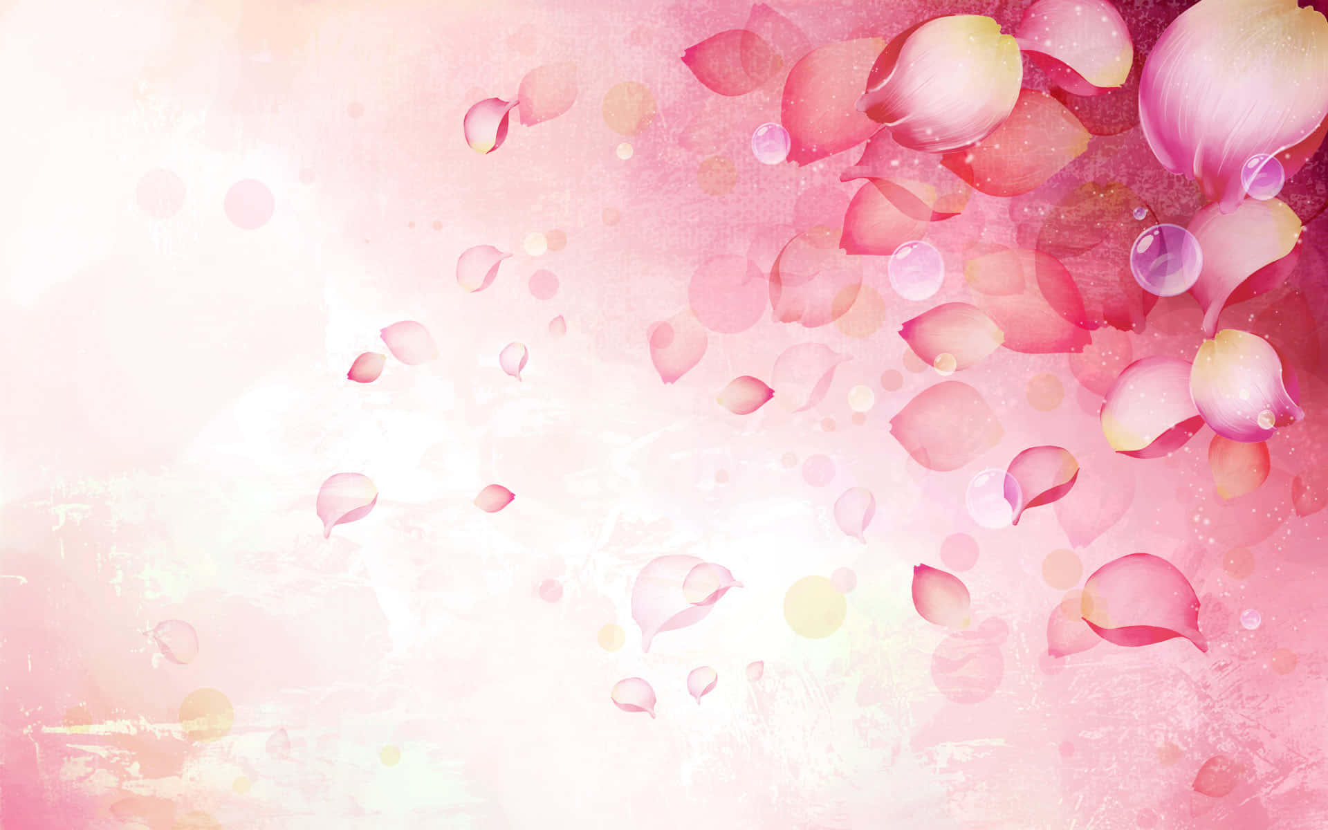 Elegant Floral 桌布 壁紙 — 柔軟的粉紅玫瑰花瓣在帶有細膩散景燈光的夢幻水彩漸變背景上輕輕飄動。