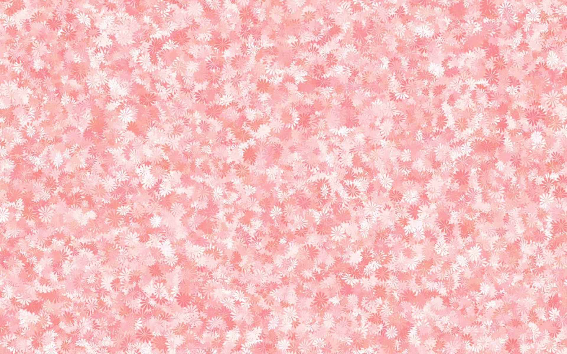 Pink Flower 桌布 壁紙 — 柔軟的粉紅色和白色花卉圖案壁紙，帶有精緻的雛菊狀花朵散落在表面。