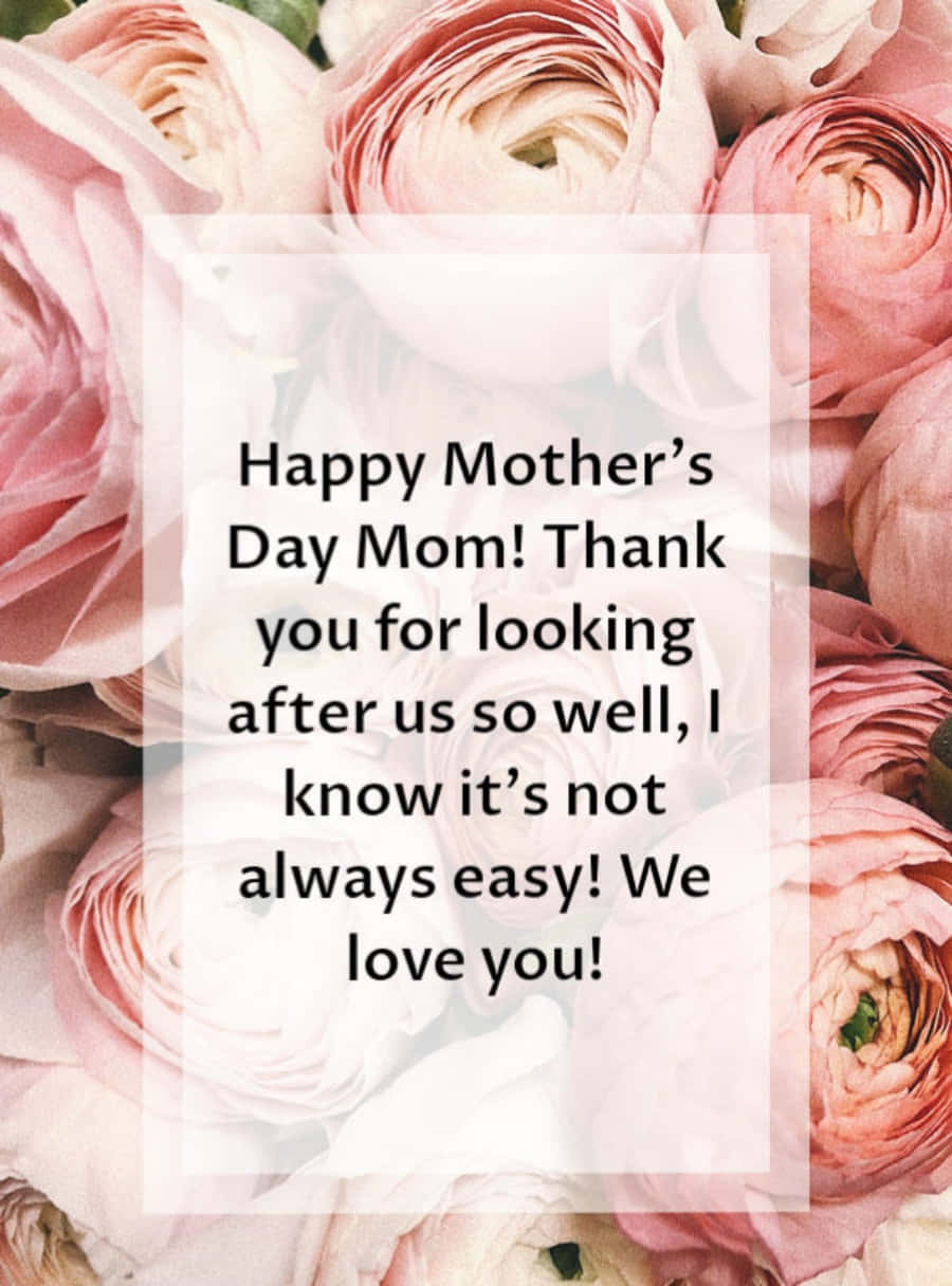 Happy Mothers Day 桌布 壁紙 — 柔軟的粉紅色毛茛花形成一個溫柔的背景，用於半透明白色盒子中的衷心母親節訊息。