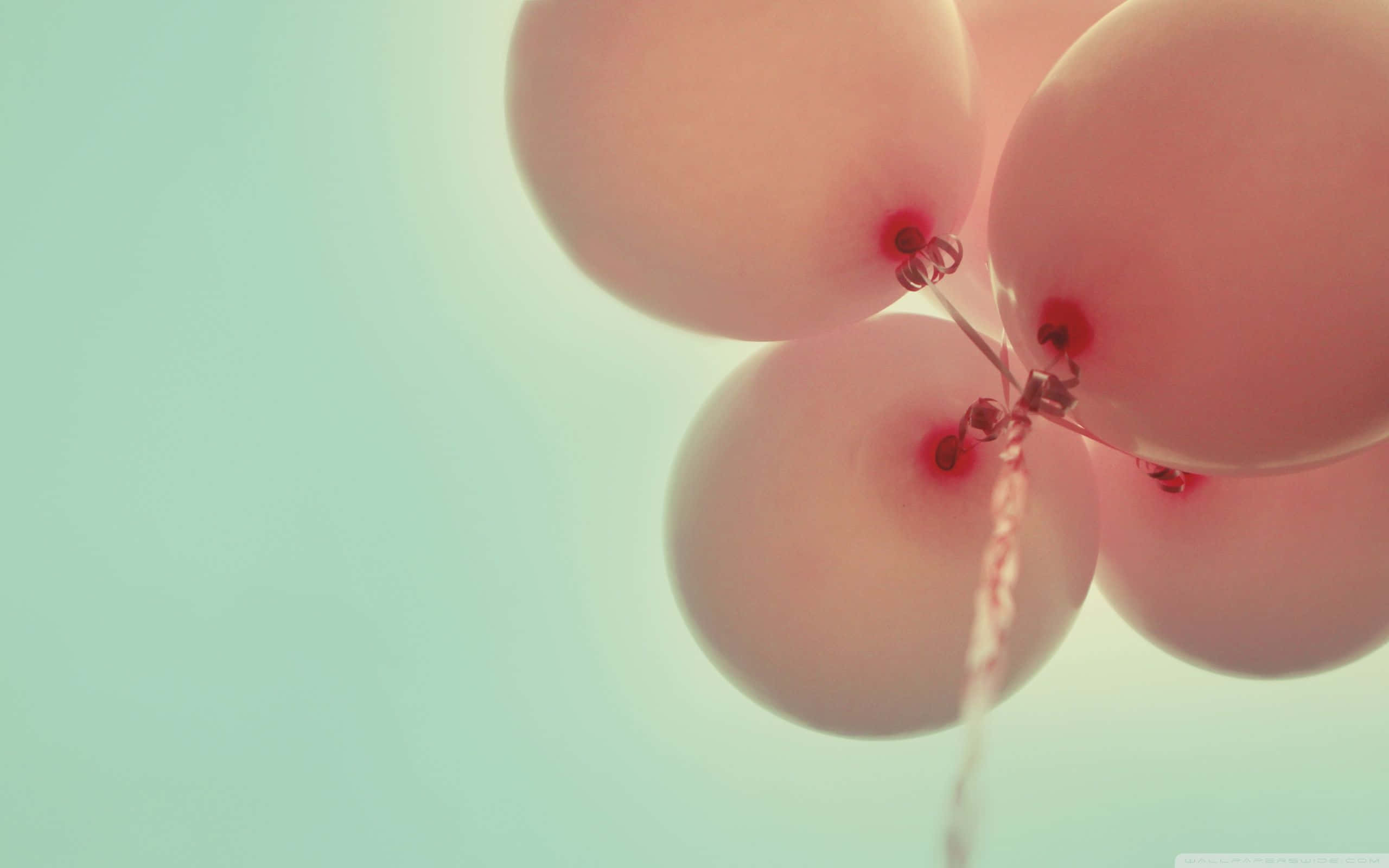 Pink Balloons 桌布 壁紙 — 柔軟的粉紅色氣球綁在一起，在淡薄荷綠的天空中輕輕漂浮。