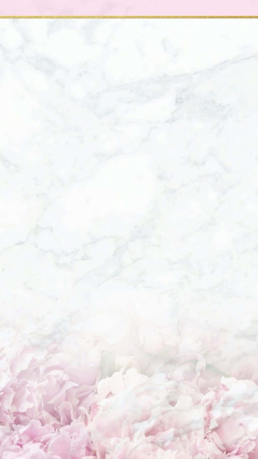 Pink And White Aesthetic 桌布 壁紙 — 柔軟的粉紅色牡丹在底部盛開，背景為白色大理石，帶有精緻的粉紅色邊框。