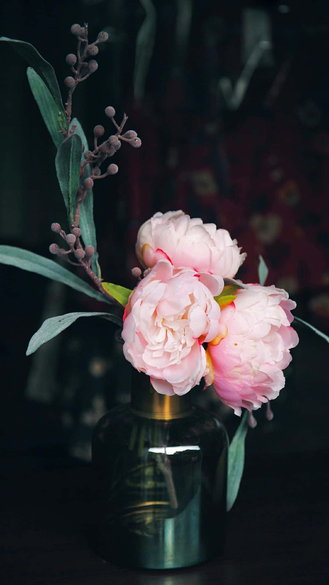 Peony 桌布 壁紙 — 柔軟的粉紅色牡丹在深色玻璃花瓶裡優雅綻放，背景模糊而充滿氛圍。
