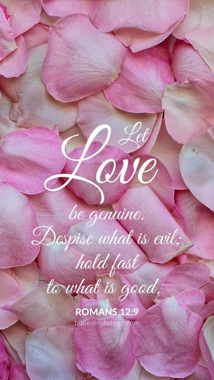 Girly Bible Verse 桌布 壁紙 — 柔軟的粉紅色玫瑰花瓣鋪滿框架，上面有優雅的白色字體引用羅馬書12章9節。