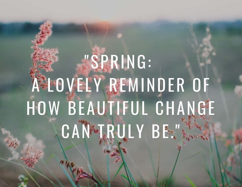 Spring Inspirational 桌布 壁紙 — 柔軟的粉紅色草在陽光明媚的田野中輕輕搖曳，一句關於春天花朵的詩意引言覆蓋在寧靜的風景上。
