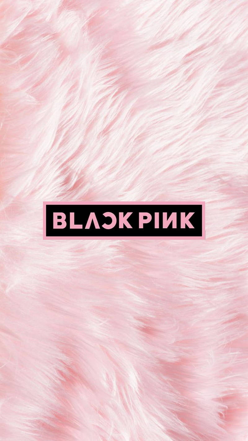 Pastel Pink Aesthetic 桌布 壁紙 — 柔軟的粉紅色蓬鬆紋理，帶有一個黑色矩形，內含粉紅色文字寫著 BLACK PINK。