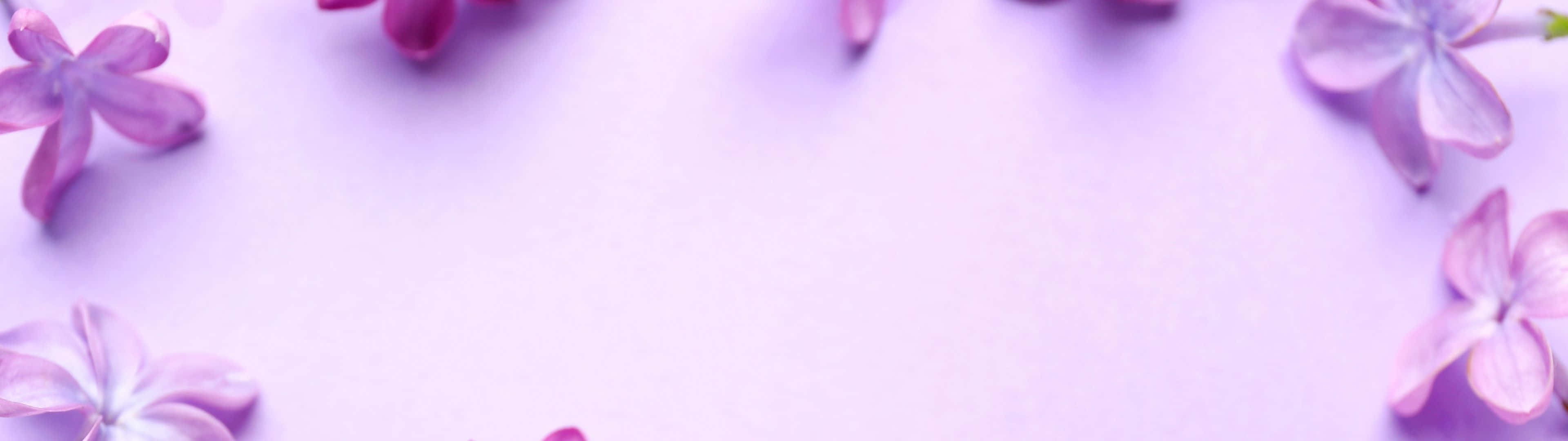 3840X1080 桌布 壁紙 — 柔軟的紫色丁香花精緻地框住空白的薰衣草背景，營造出寧靜的春天邊框。