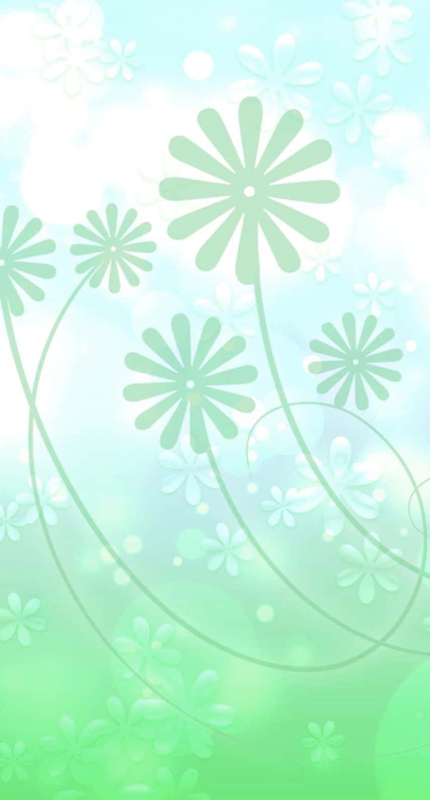 Flowers 桌布 壁紙 — 柔軟的綠色雛菊在漸變天空和散景光效中綻放。