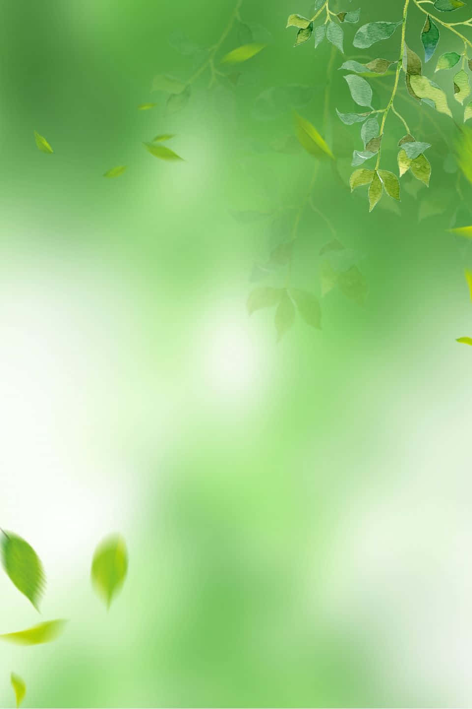清新 桌布 壁紙 — 柔軟的綠葉在模糊的自然背景下輕輕飄動，明亮的陽光穿透其中。