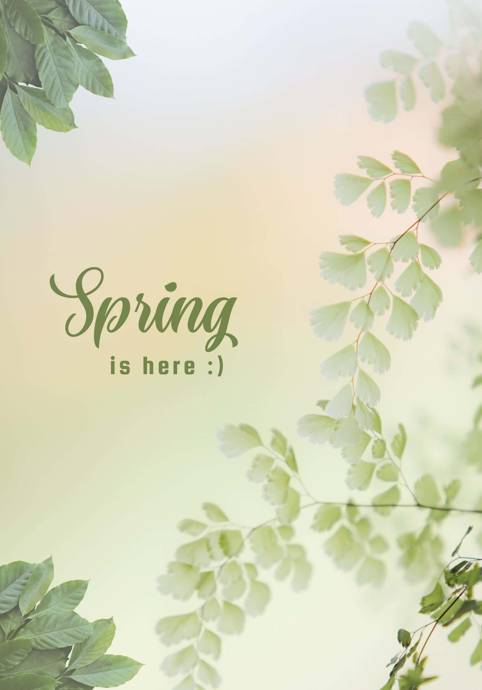 Spring Aesthetic 桌布 壁紙 — 柔軟的綠葉框住柔和的漸變天空，優雅的手寫文字宣告春天的到來。