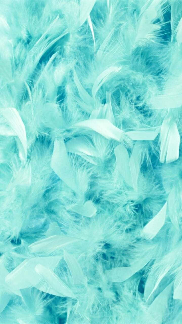 桌布 壁紙 — 柔軟的蓬鬆藍綠色羽毛床營造出夢幻而空靈的質感。