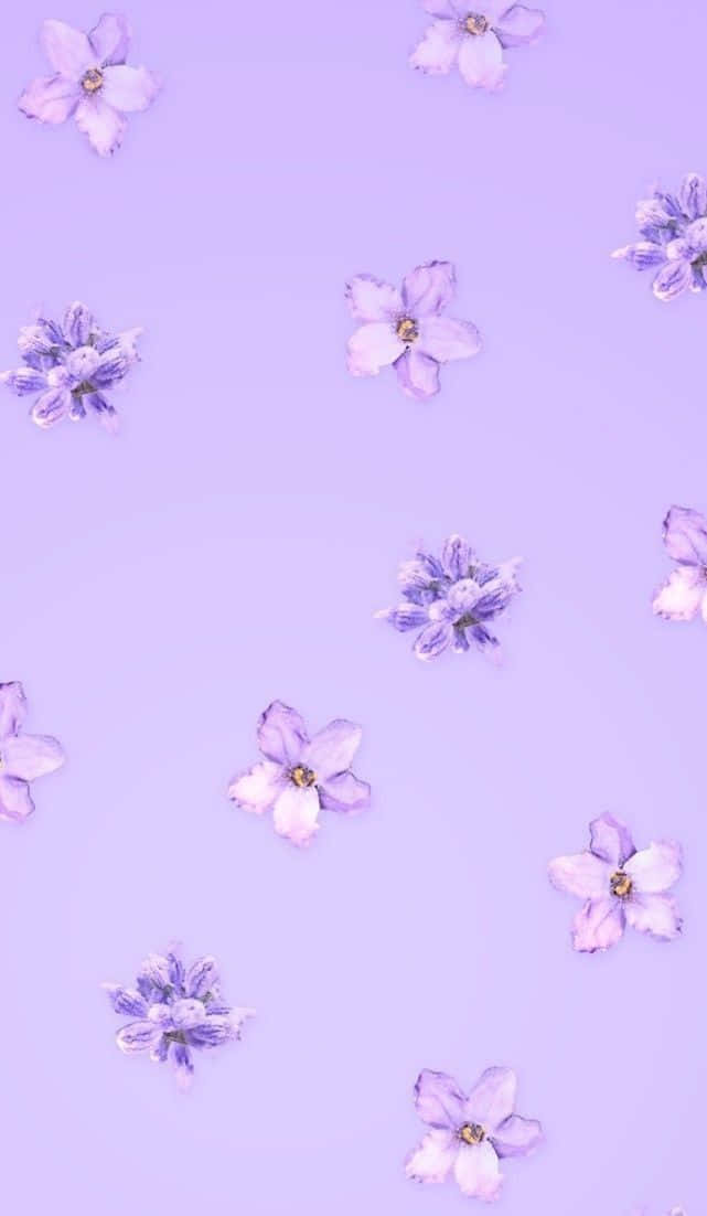 Lock Screen iPhone 桌布 壁紙 — 柔軟的薰衣草背景，散落著精緻的紫色和白色花朵，形成柔和的極簡圖案。