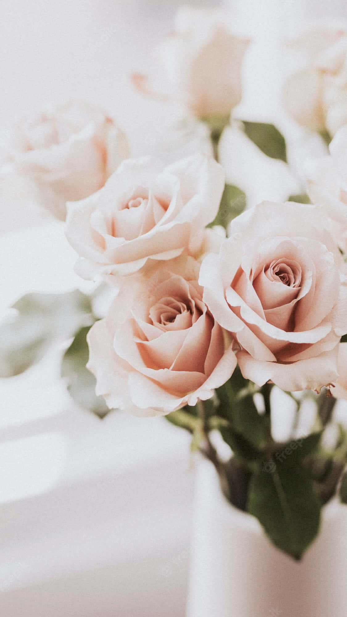 iPhone X Roses 桌布 壁紙 — 柔軟的蜜桃玫瑰在白色花瓶中輕輕綻放，背景明亮通風，景深較淺。