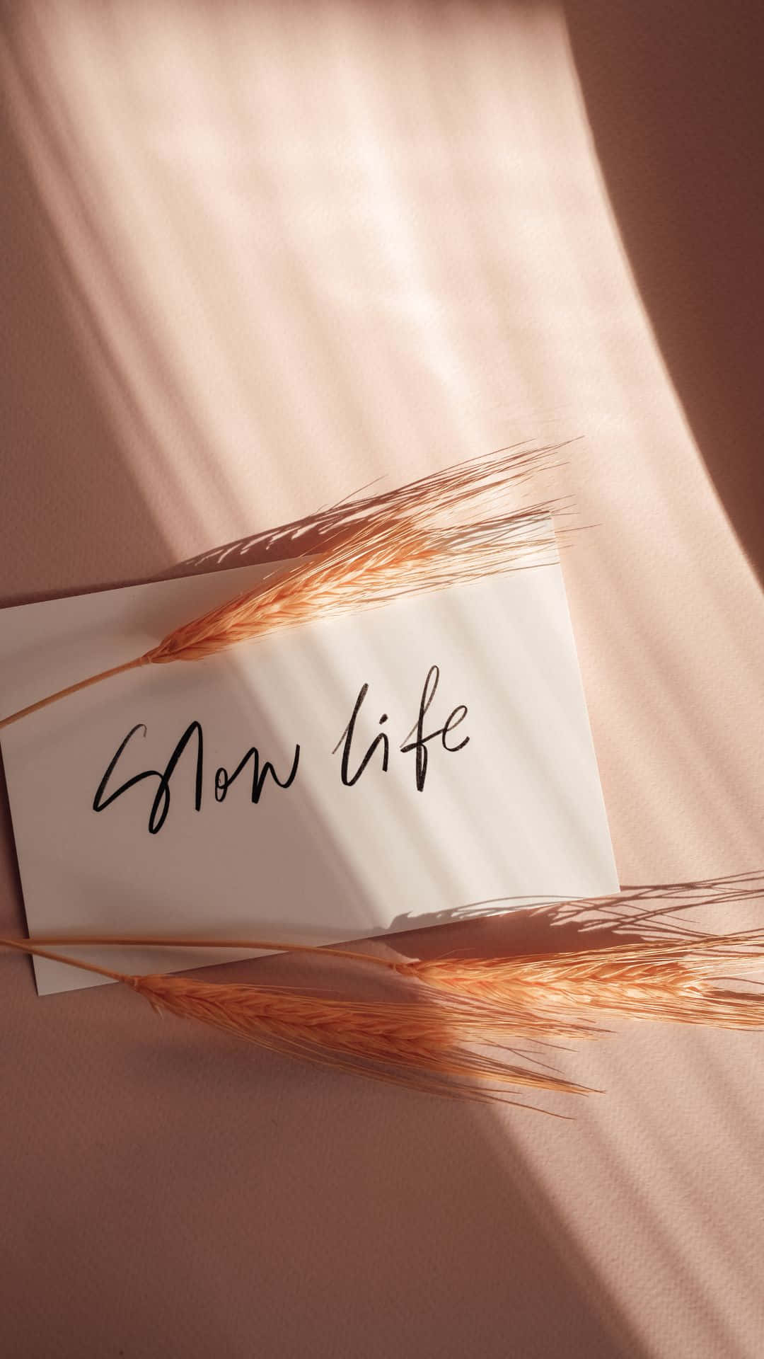 Soft Brown Aesthetic 桌布 壁紙 — 柔軟的金色麥稈放在一張手寫著「Slow life」的便條旁邊，溫暖的陽光透過百葉窗照射進來。