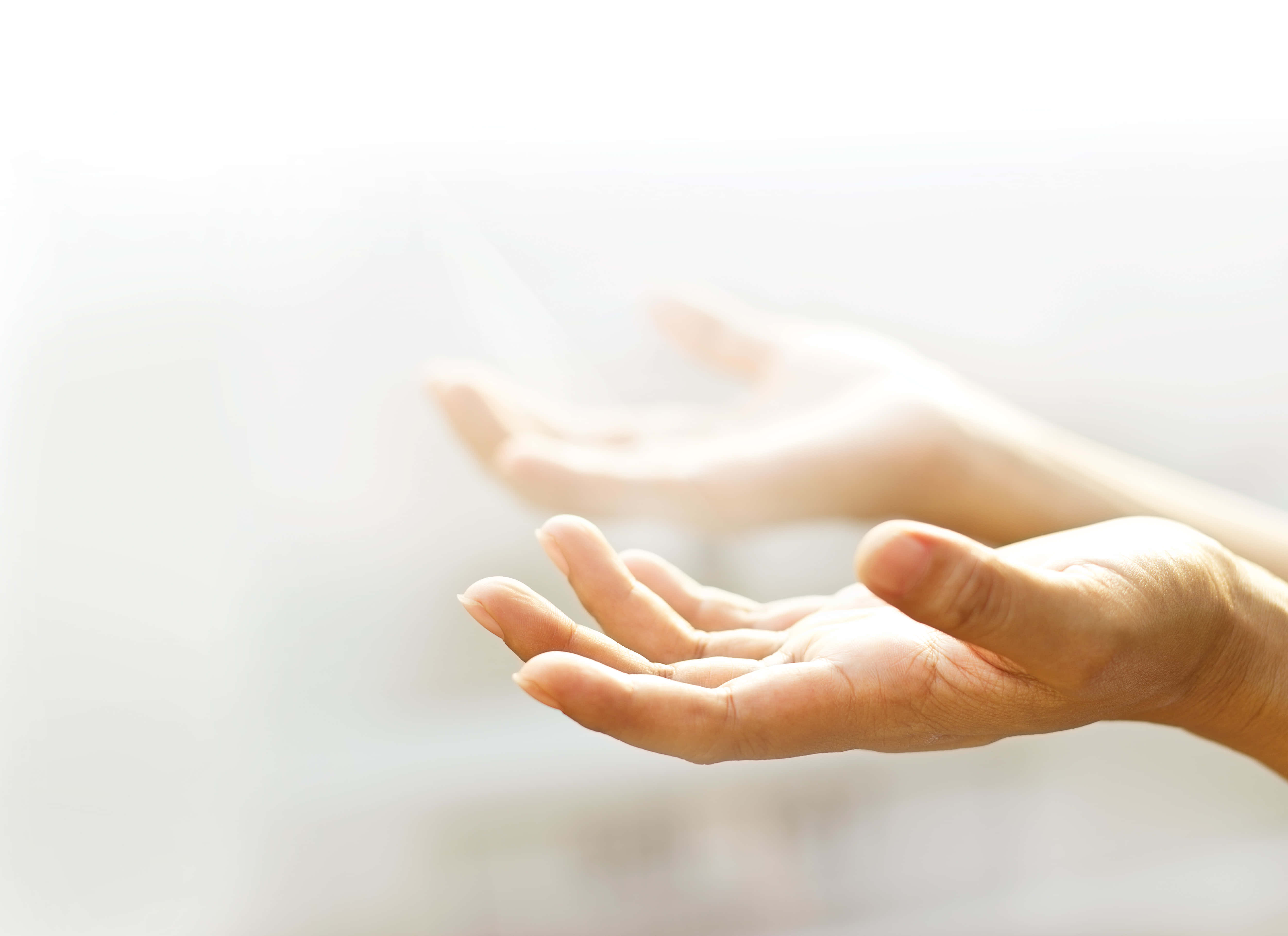 Prayer 桌布 壁紙 — 柔軟的雙手輕輕捧向一片明亮的光芒，背景是朦朧的白色。