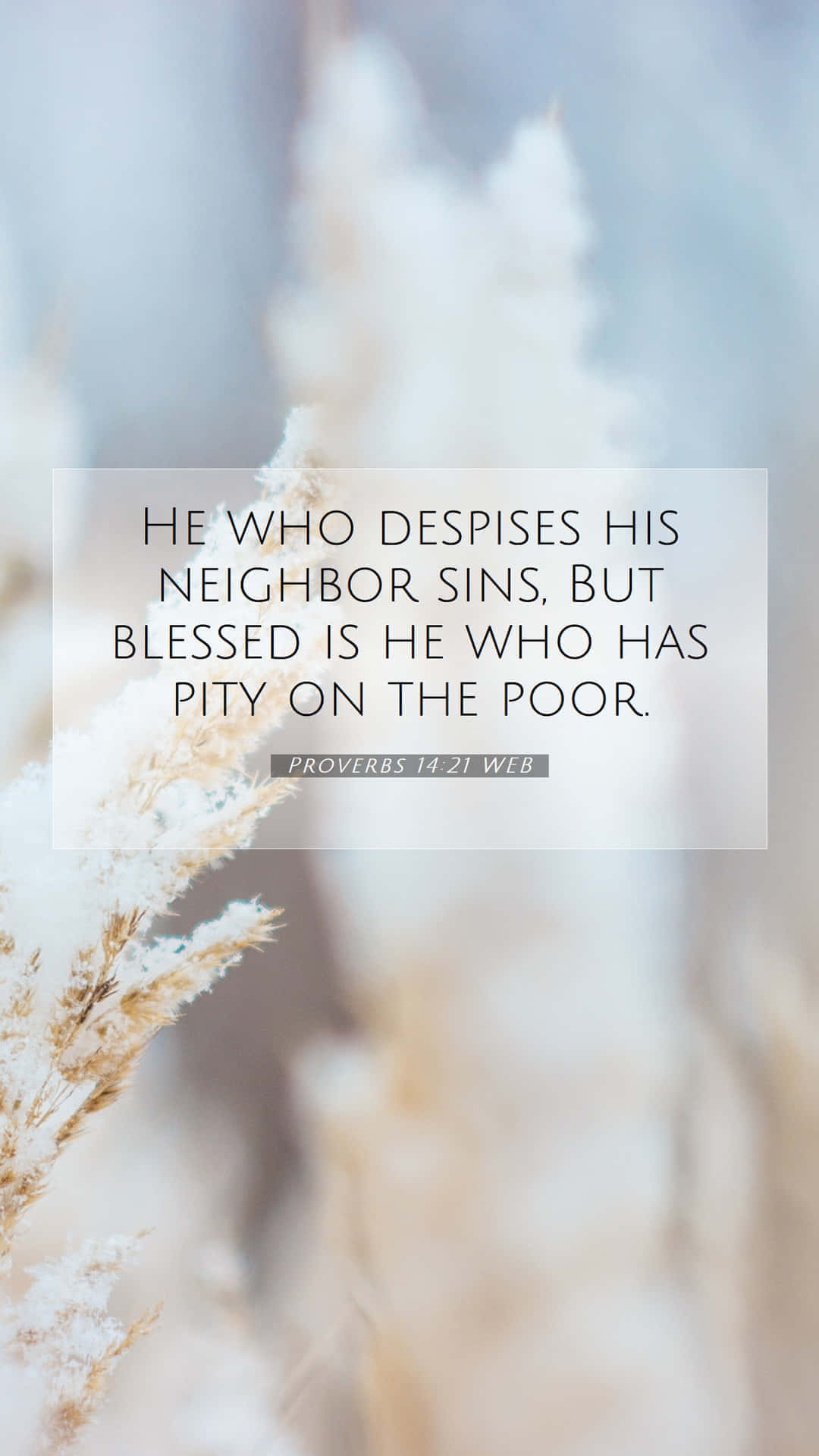 Lock Screen Aesthetic Bible Verse 桌布 壁紙 — 柔軟的霜凍蘆葦框住一個半透明疊加層，上面有箴言14:21 WEB的聖經經文。