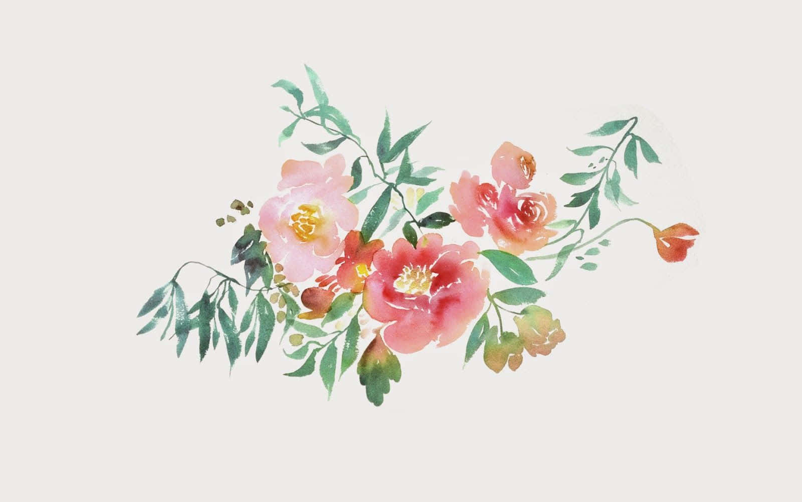 Painting 桌布 壁紙 — 柔軟米色背景上，粉紅和珊瑚色花朵與綠葉的精緻水彩花束。