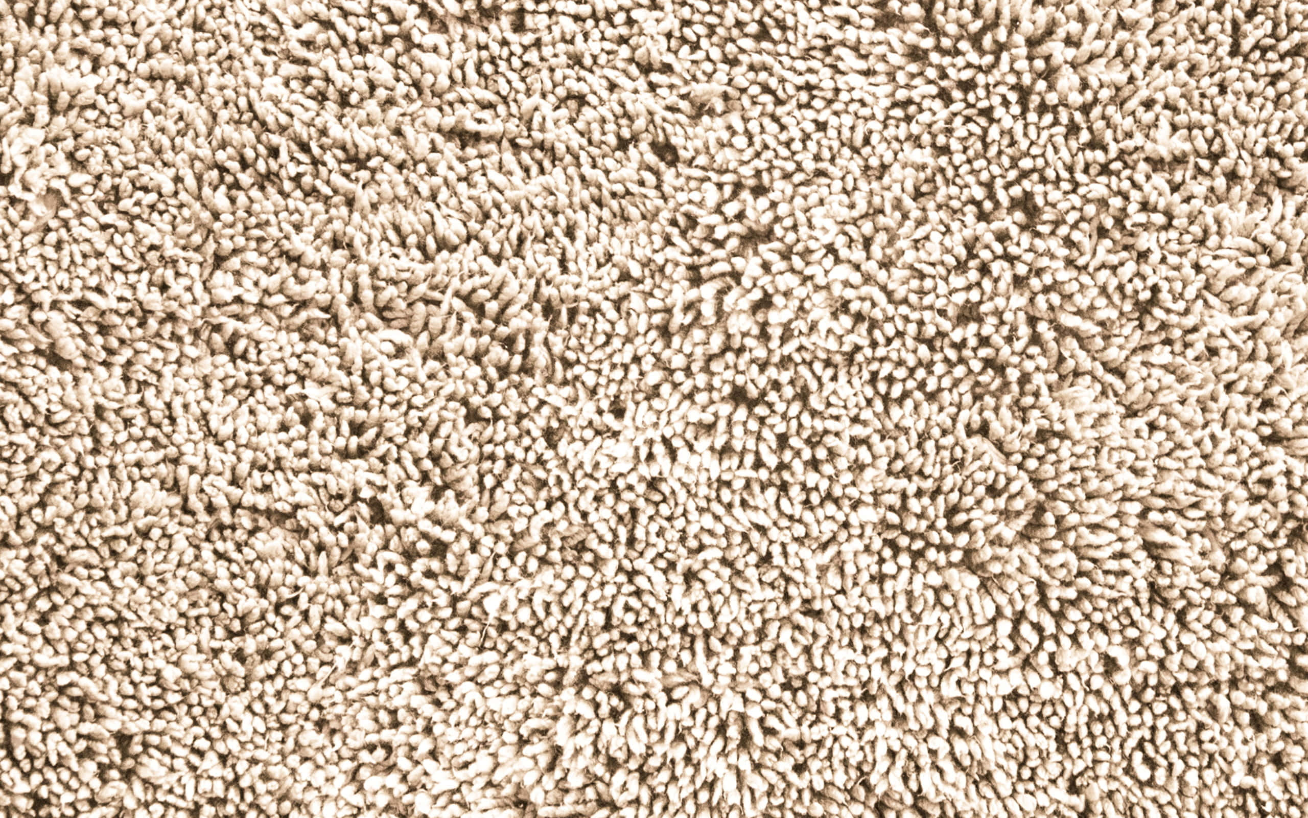 Carpet 桌布 壁紙 — 柔軟米色長毛地毯的特寫，帶有紋理環圈和柔和陰影。