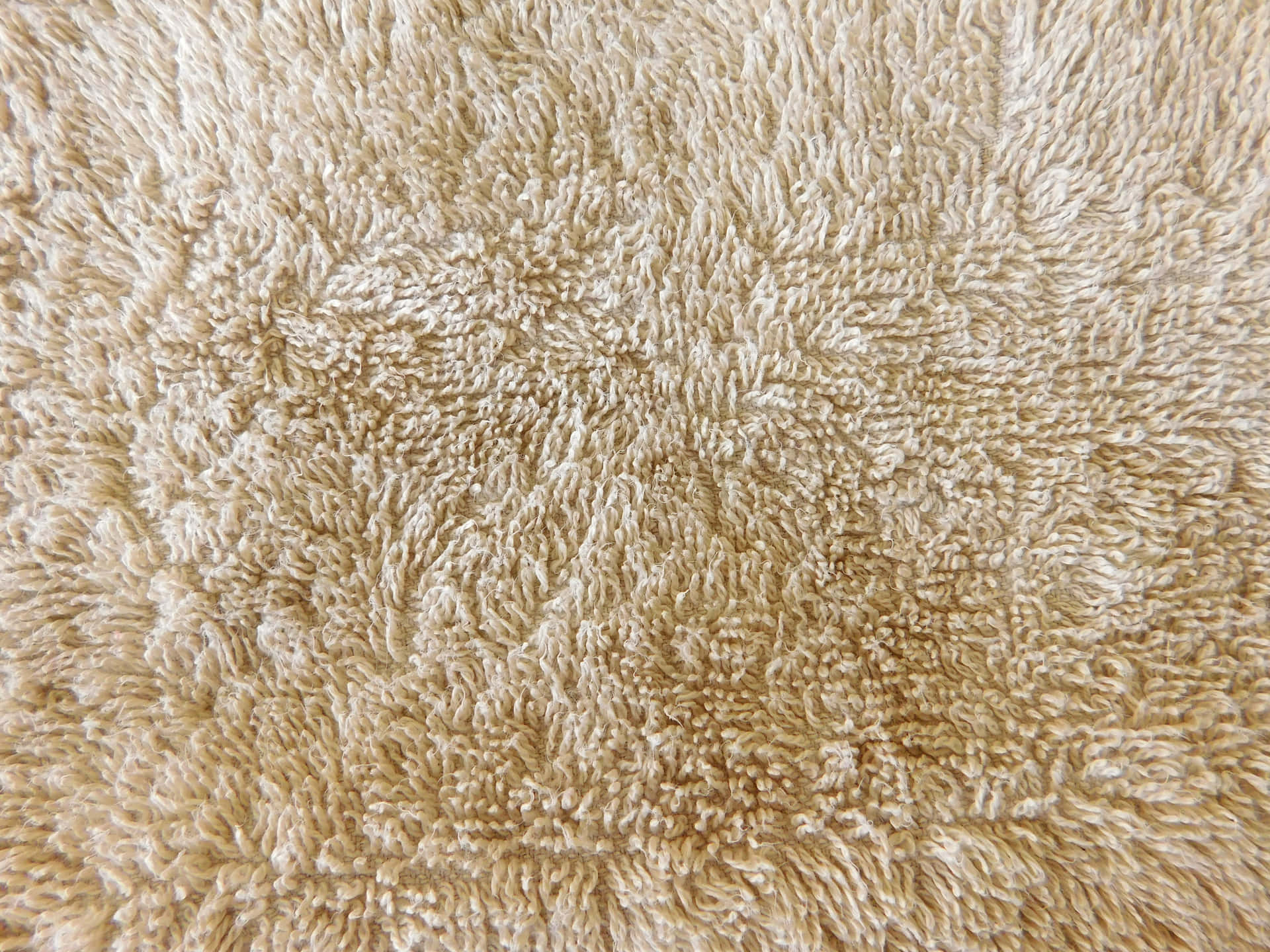 Carpet texture 壁紙 — 柔軟米色長絨地毯的特寫，具有密集蓬鬆的纖維和自然紋理變化。