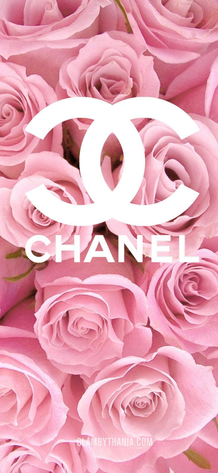 香奈兒標誌 桌布 壁紙 — 柔軟粉紅玫瑰的特寫，中央有白色 Chanel 標誌和品牌名稱，置於花卉背景之上。