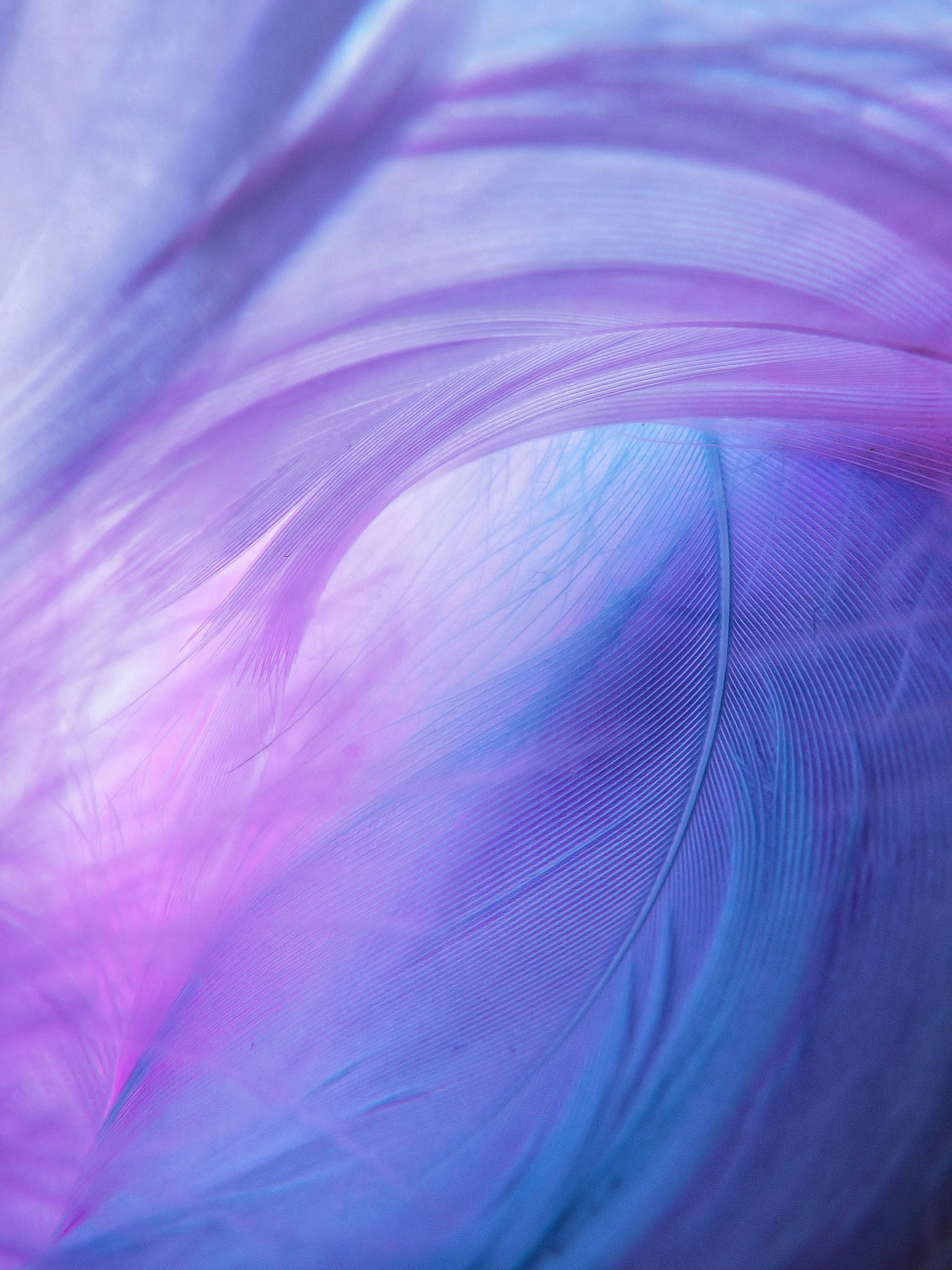 Blue Pastel Aesthetic 桌布 壁紙 — 柔軟紫色和藍色羽毛在夢幻漸變中旋轉的特寫，帶有精緻的倒刺。