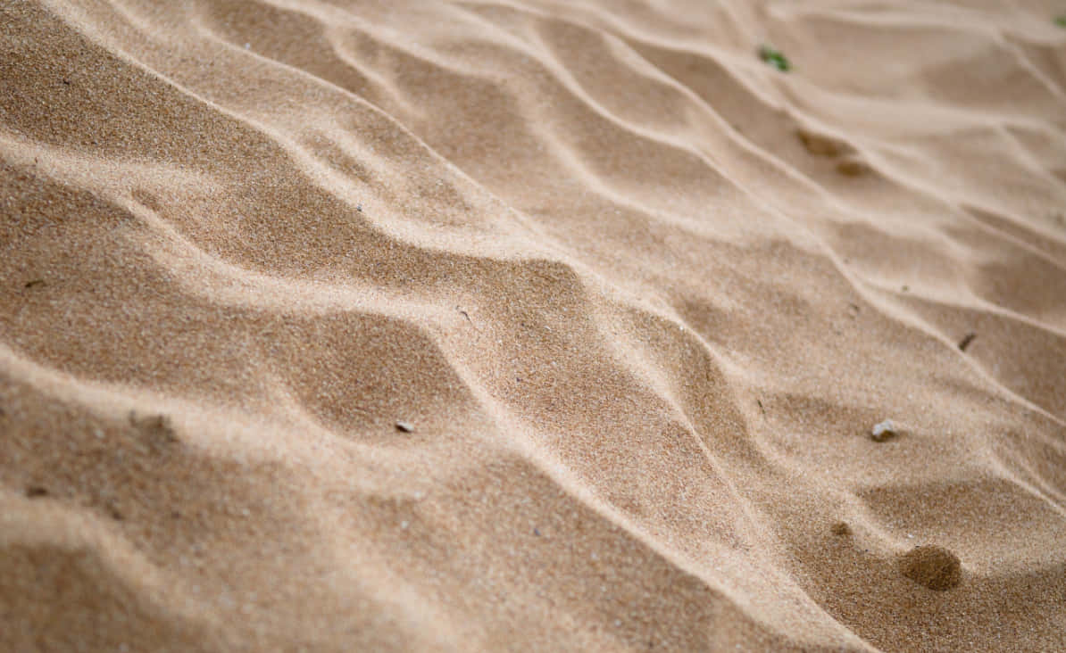 sand 桌布 壁紙 — 柔軟自然光下，波紋狀金色沙丘的特寫，帶有細膩紋理和散落的小碎片。