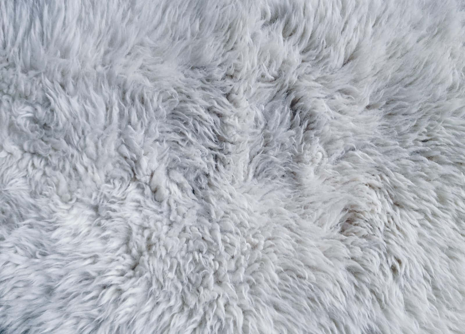 fur 桌布 壁紙 — 柔軟蓬鬆白色毛皮的近距離特寫，帶有柔和陰影和自然質感。
