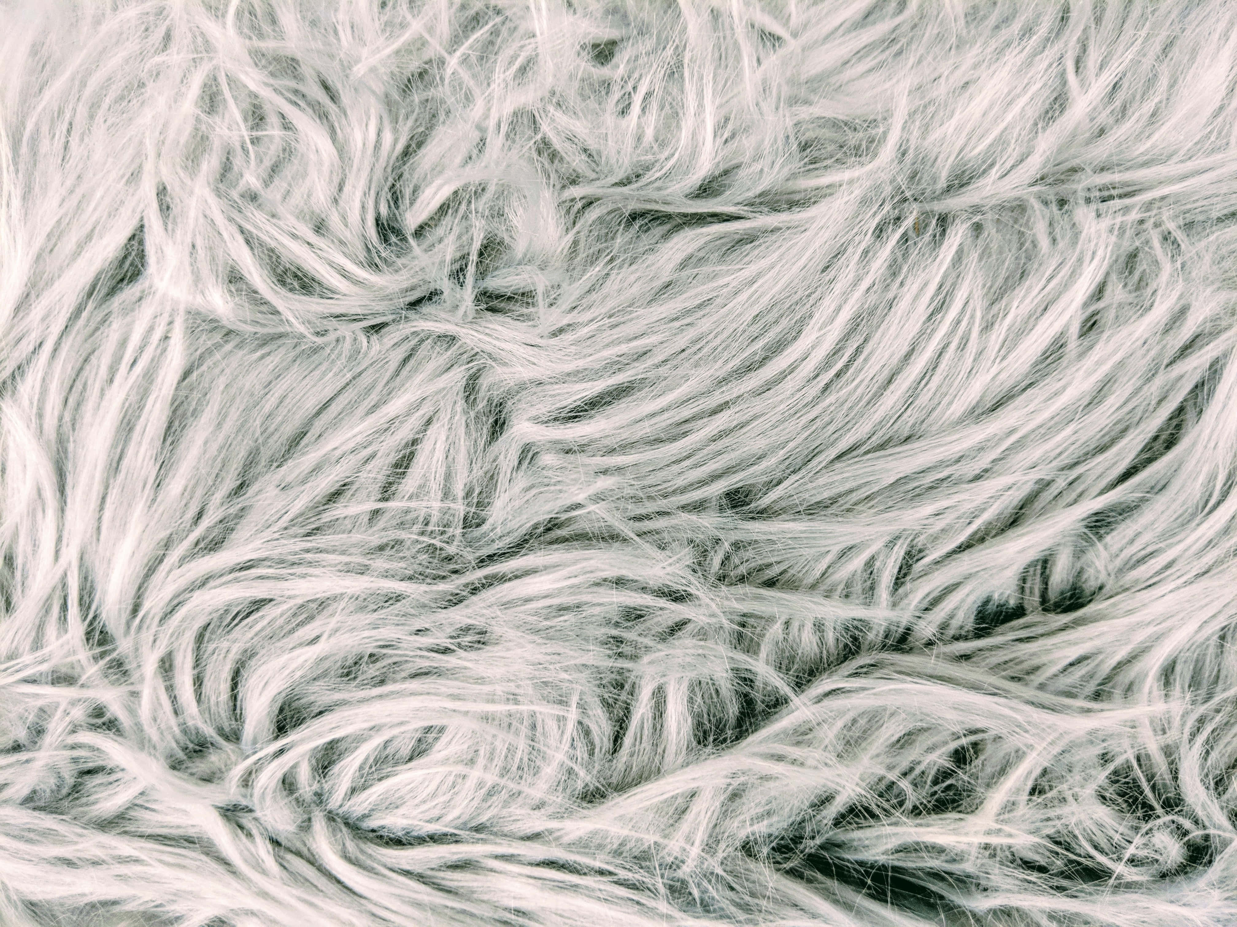 fur 桌布 壁紙 — 柔軟蓬鬆白色毛皮的近距離特寫，柔和陰影營造出舒適的紋理圖案。