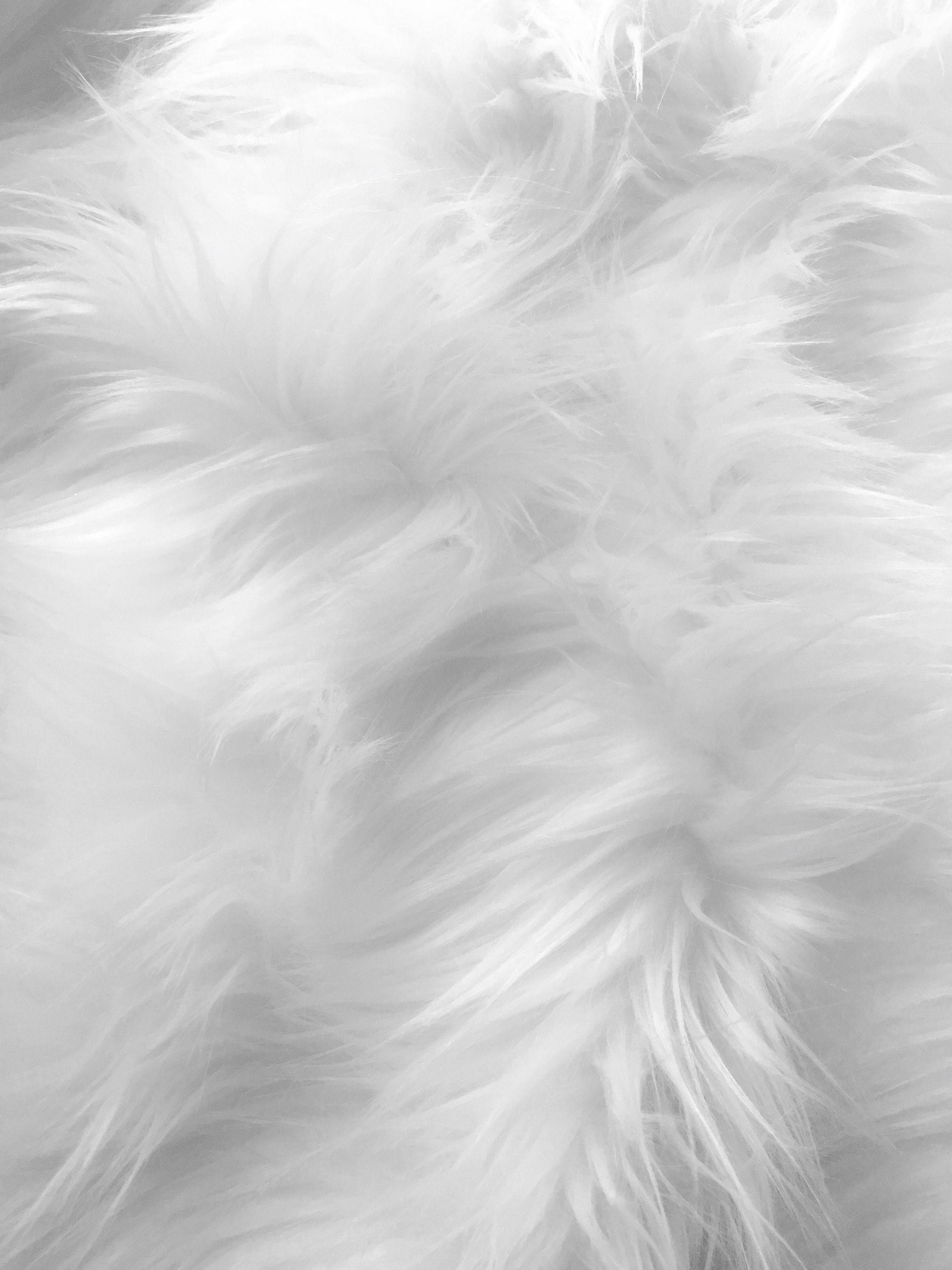 fur 桌布 壁紙 — 柔軟蓬鬆白色毛皮的近距離特寫，柔和陰影營造出奢華的紋理表面。