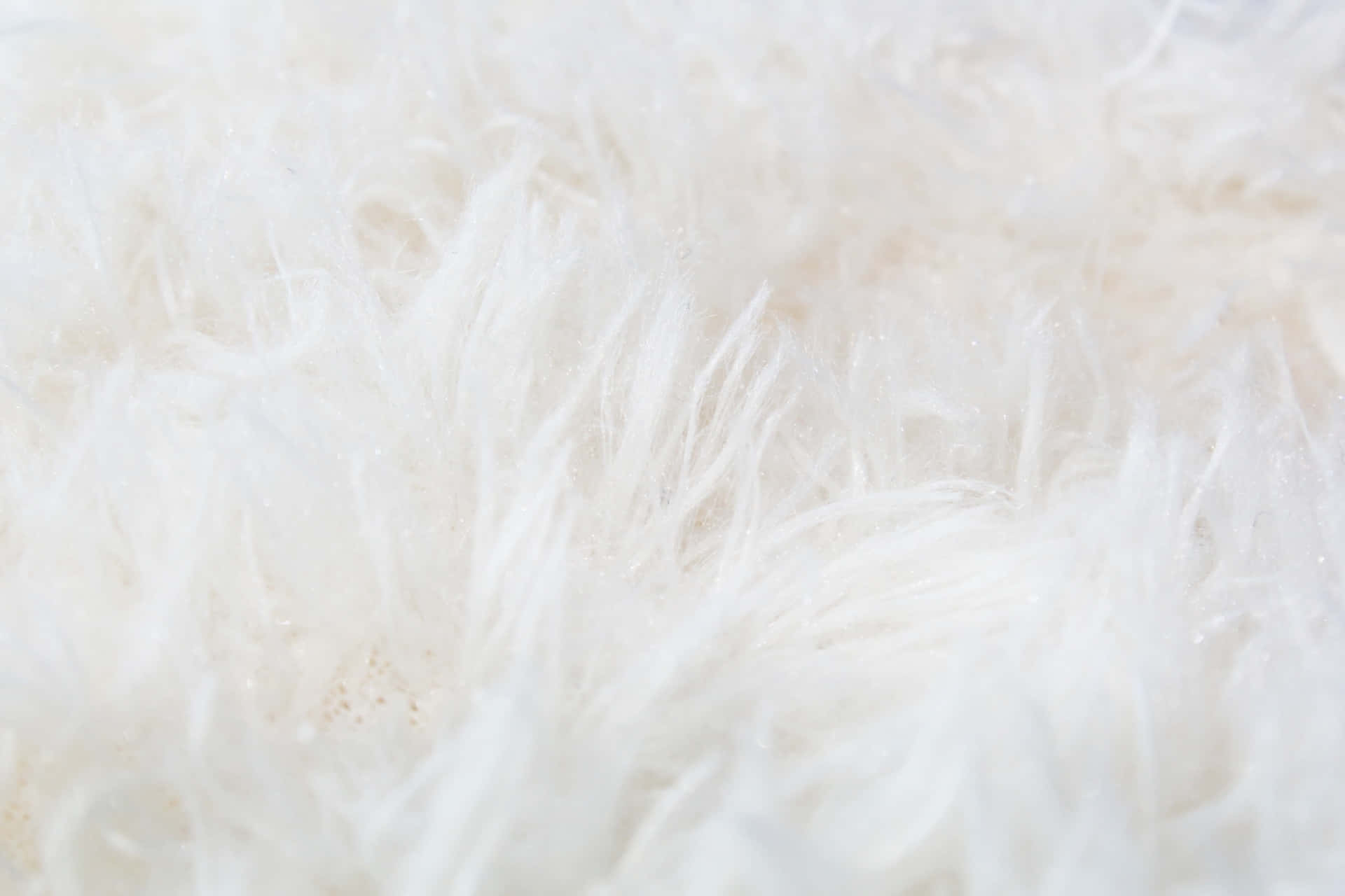 fur 桌布 壁紙 — 柔軟蓬鬆白色纖維的特寫，帶有細微閃爍亮點，營造出舒適的紋理表面。