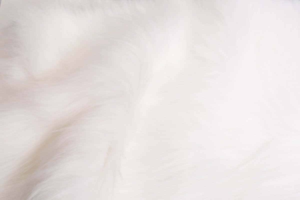 Animal Fur 桌布 壁紙 — 柔軟蓬鬆的白色毛絨質感，帶有柔和陰影，營造出舒適的觸感表面。