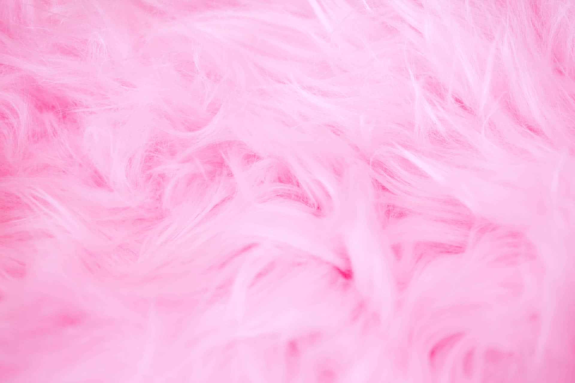 Pink Girly 桌布 壁紙 — 柔軟蓬鬆的粉紅色羽毛營造出夢幻般的紋理背景，帶有柔和光線和輕盈動感。