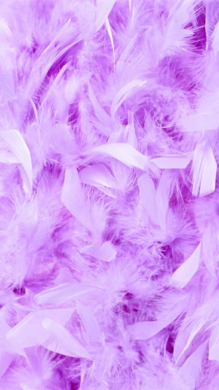 girly pink aesthetic 桌布 壁紙 — 柔軟蓬鬆的薰衣草羽毛床營造出夢幻而細膩的質感。