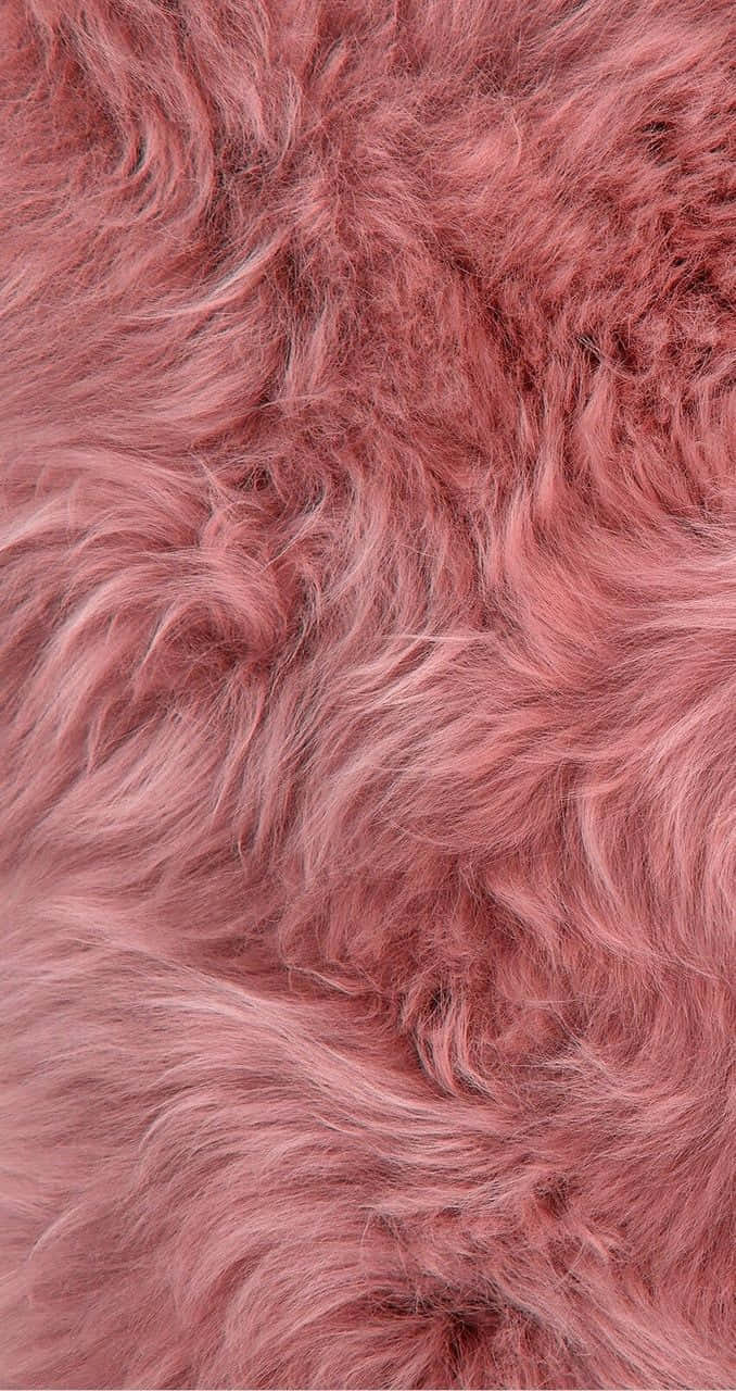 Rose Gold Color 桌布 壁紙 — 柔軟蓬鬆粉紅色毛皮的近距離特寫，帶有柔和的高光和陰影，營造出舒適的觸感質感。