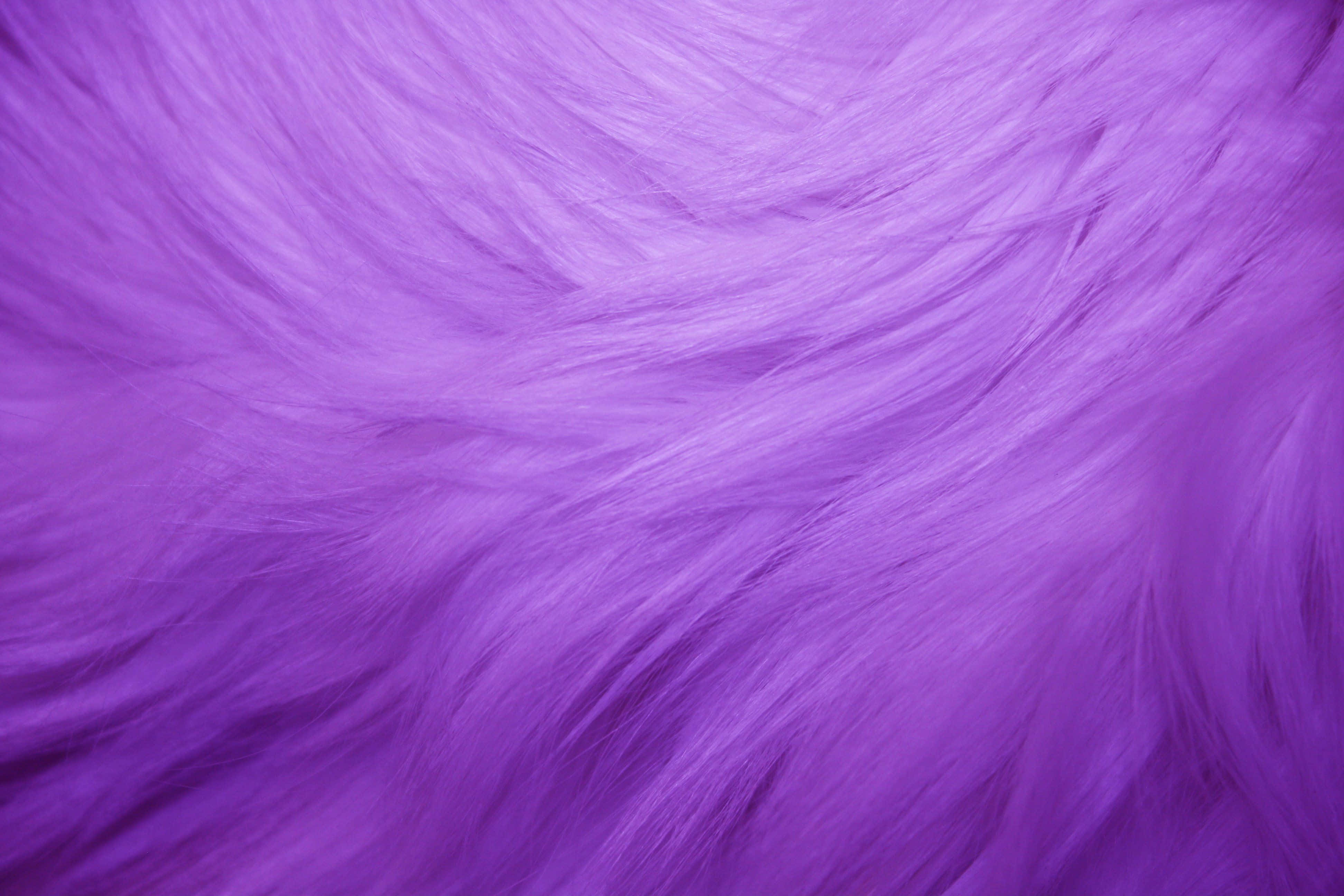Purple Faux Fur 桌布 壁紙 — 柔軟蓬鬆紫色毛皮的近距離特寫，帶有柔和波浪和細微的色彩漸變。