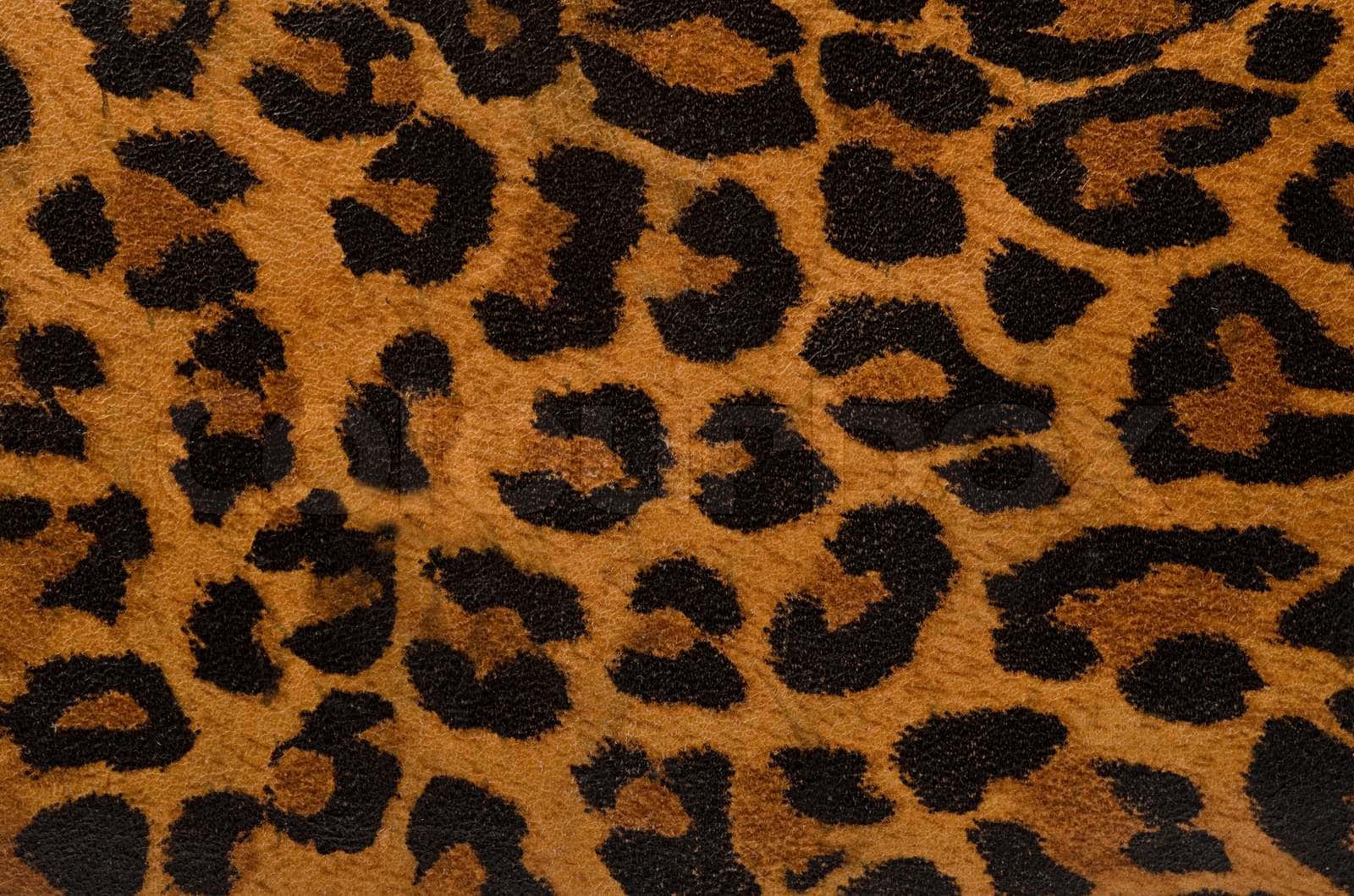 Animal Fur 桌布 壁紙 — 柔軟豹紋布料特寫，帶有豐富的金棕色和黑色玫瑰花結圖案。