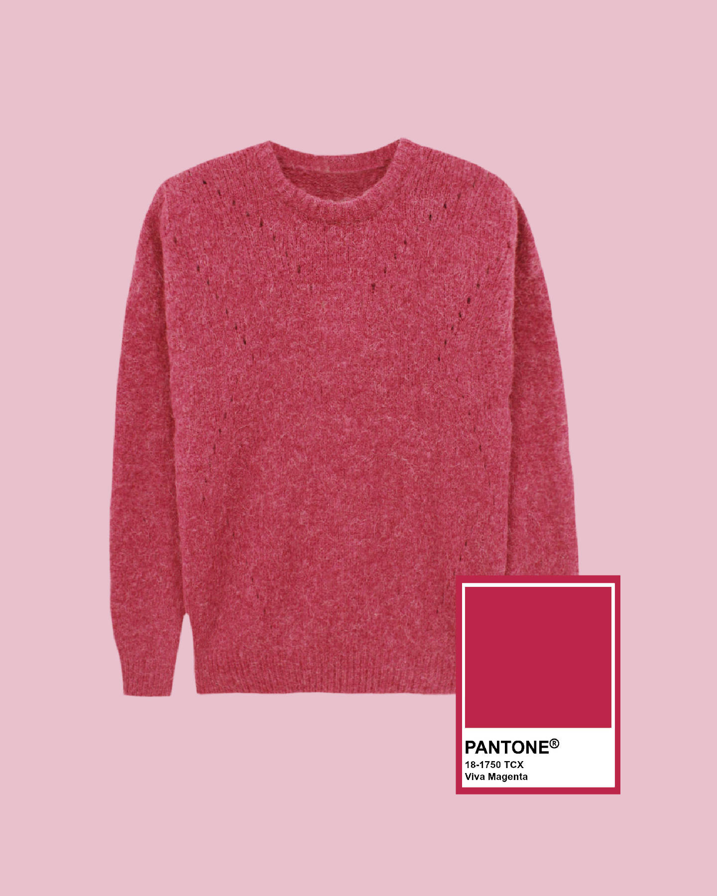 Clothes 桌布 壁紙 — 柔軟質感的洋紅色毛衣，搭配相配的粉彩粉紅色背景和 Pantone 色票展示。