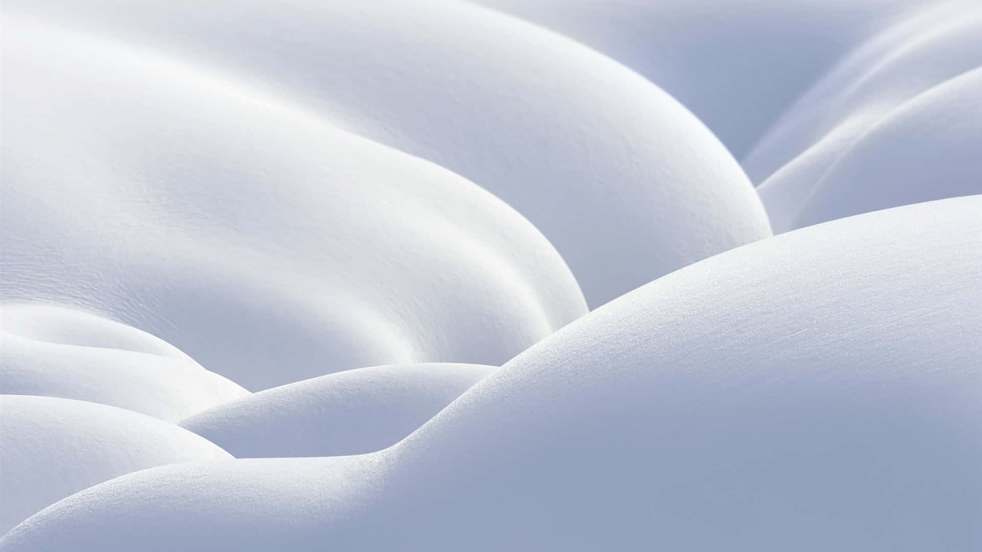 White Snow 桌布 壁紙 — 柔軟起伏的雪堆捕捉柔和光線，營造出寧靜的曲線和微妙的藍色陰影。