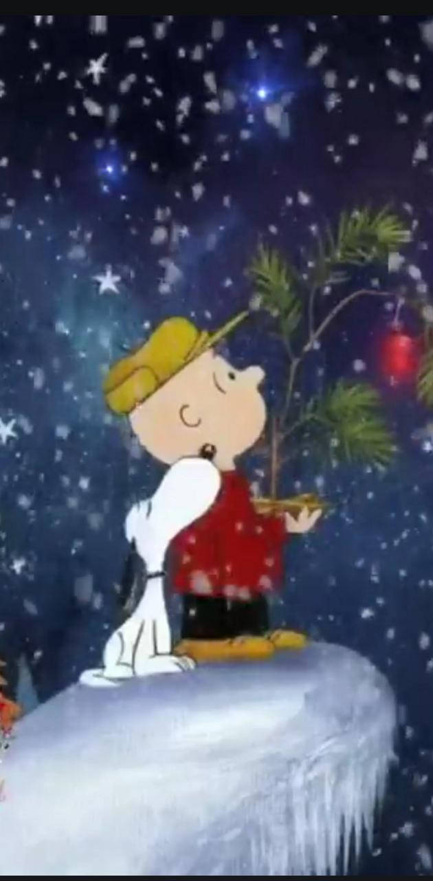 史努比 桌布 壁紙 — 查理布朗和史努比仰望佈滿星星的雪夜天空，查理拿著一棵裝飾好的小樹。